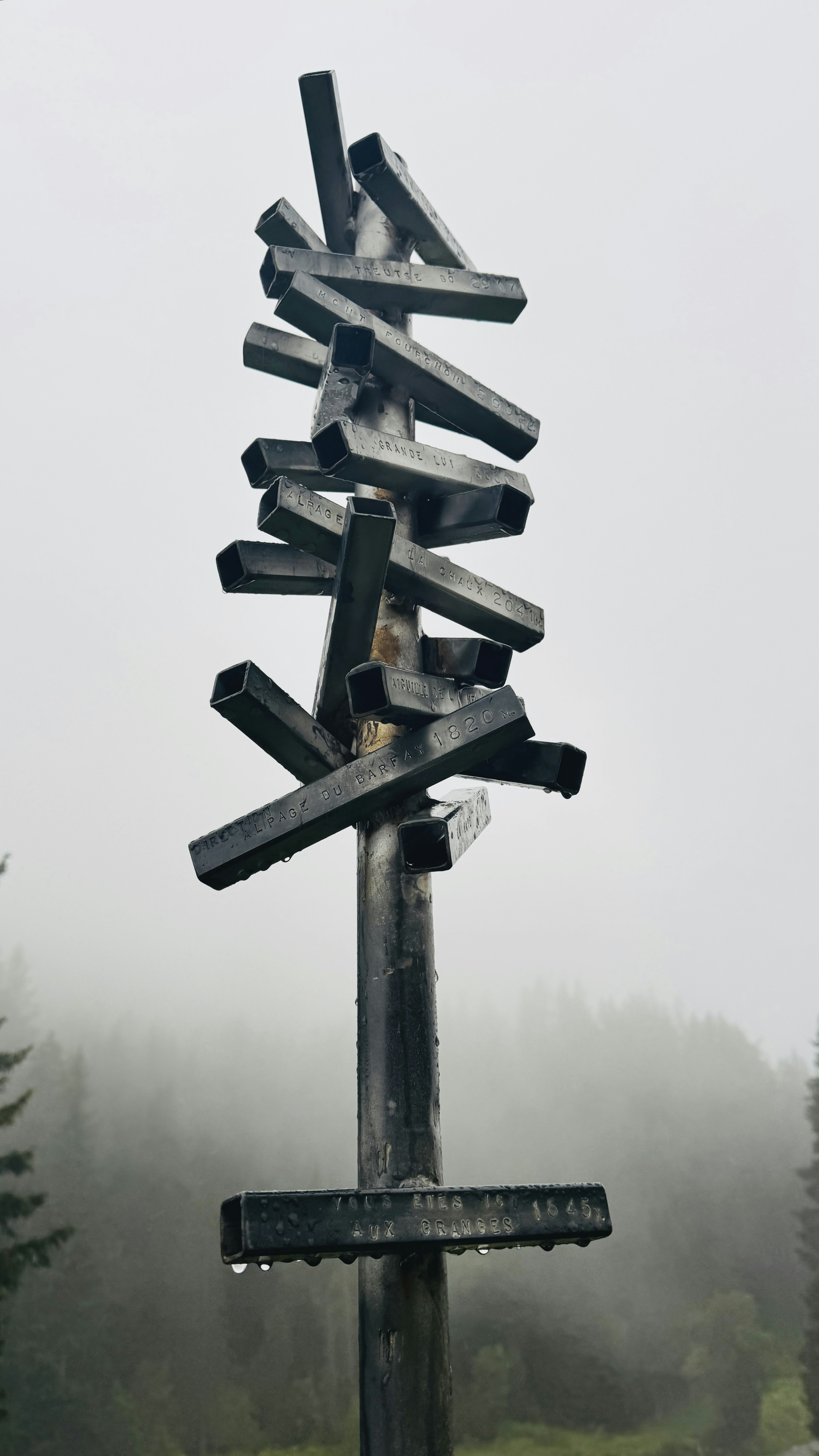 A unique signpost on a foggy day.