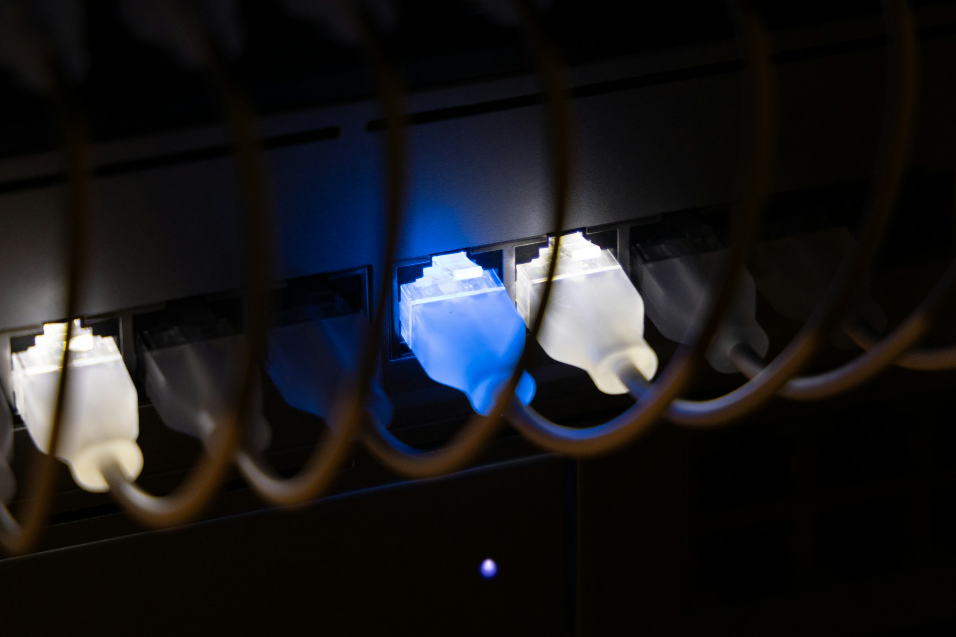 Medical iv bags are hanging in a row.