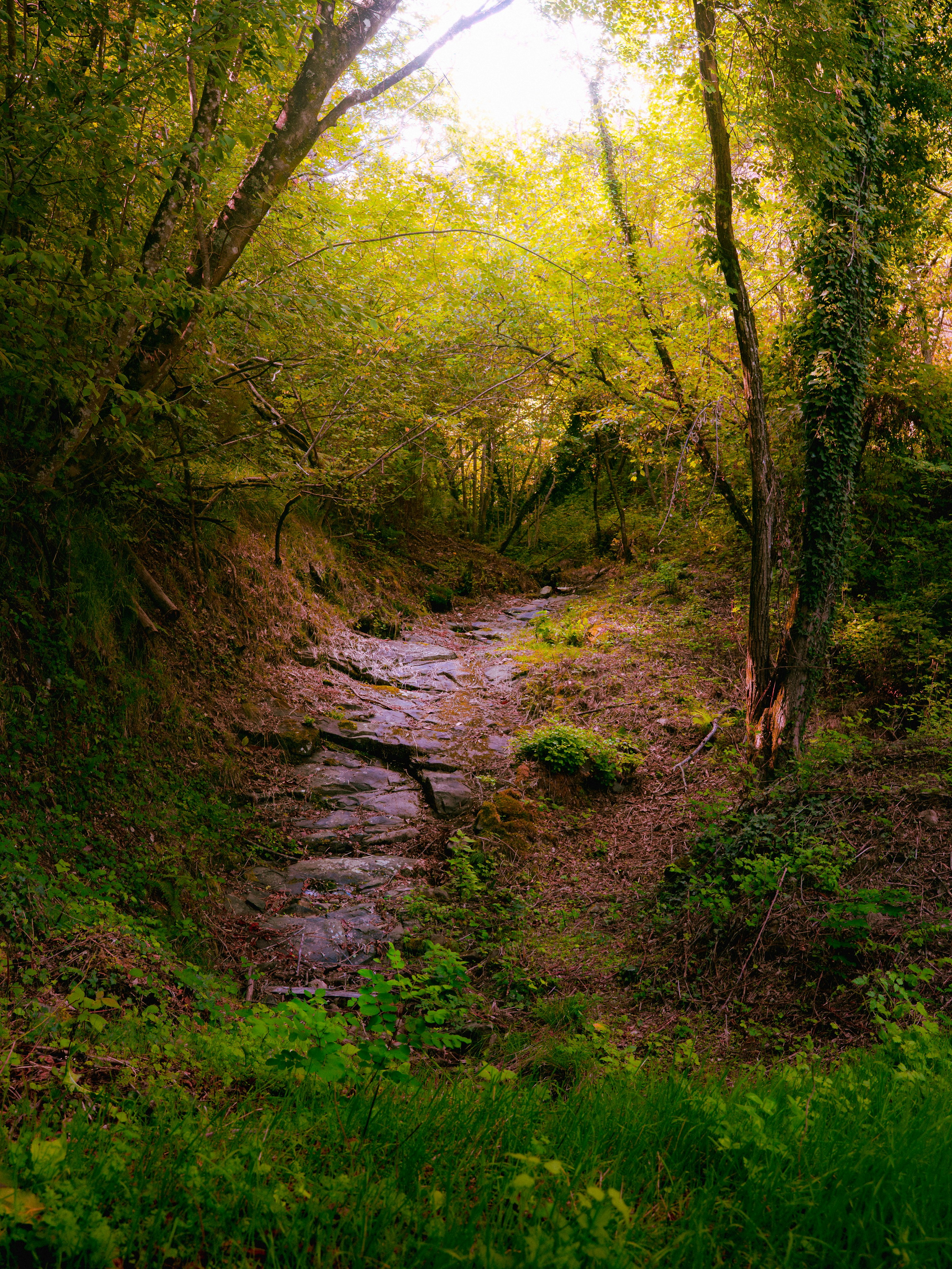 Photo by cashlovely24