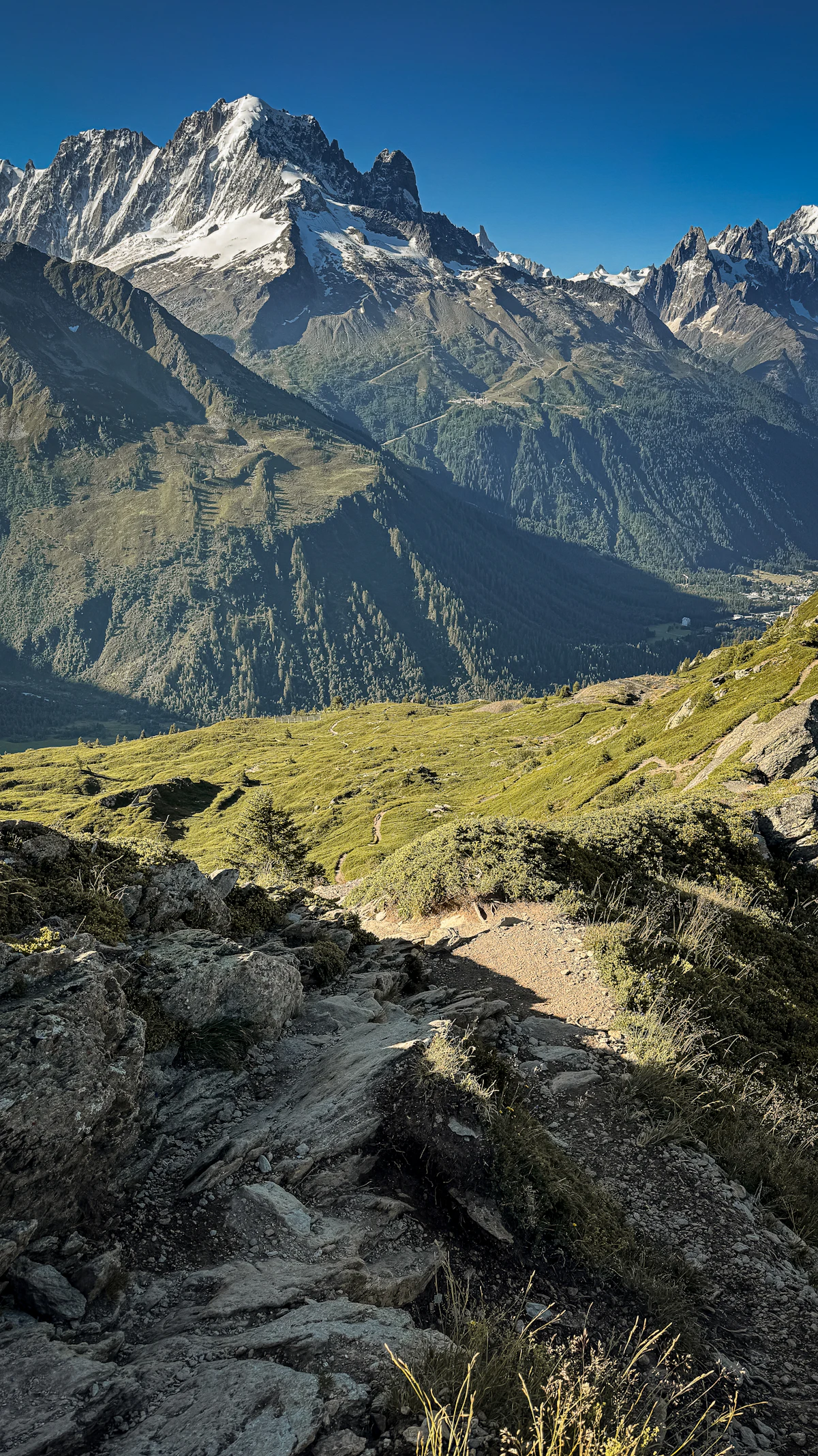 A rocky mountain trail on a grassy slope, looking across a valley to snowy peaks