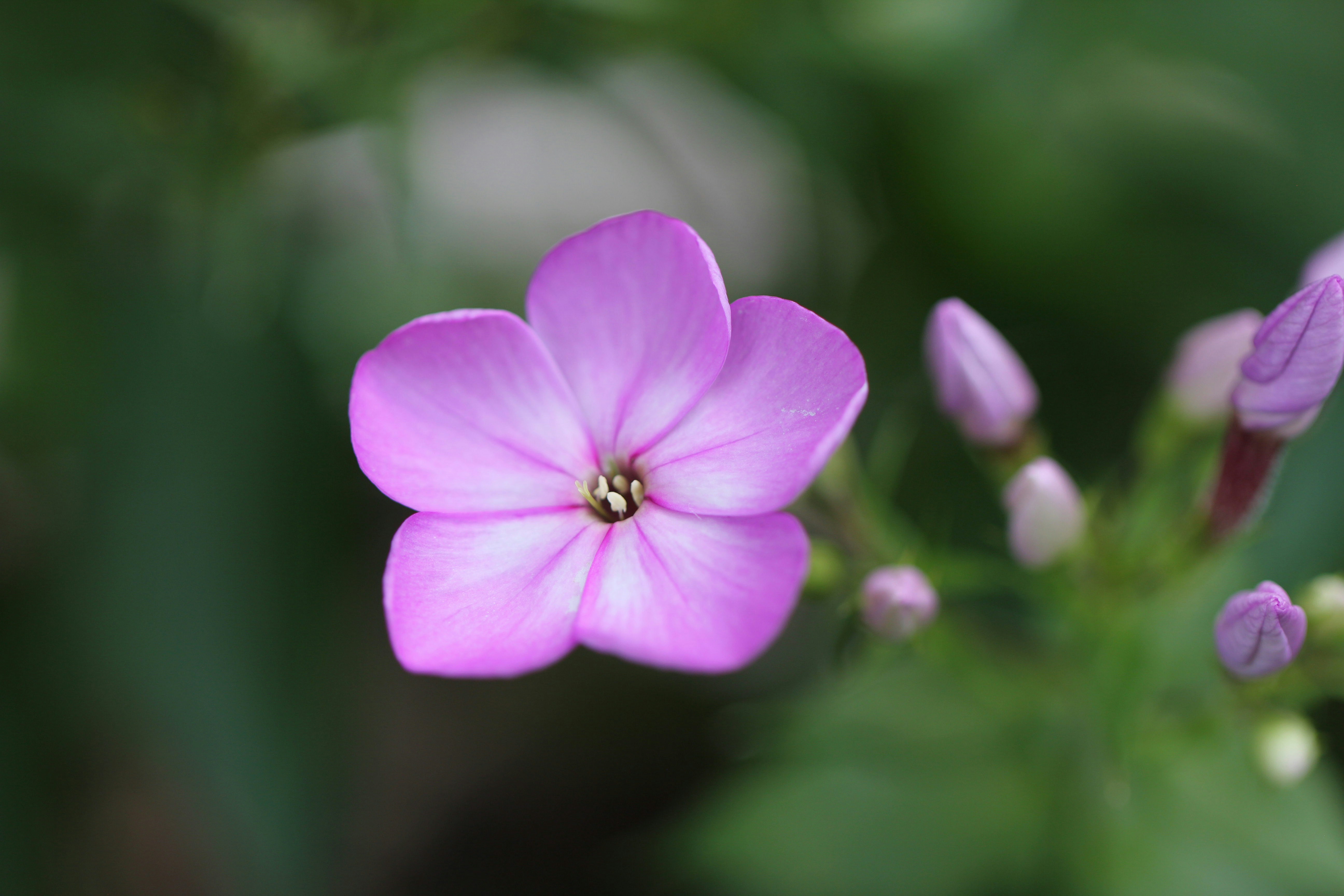 Photo by jasbirvirdi