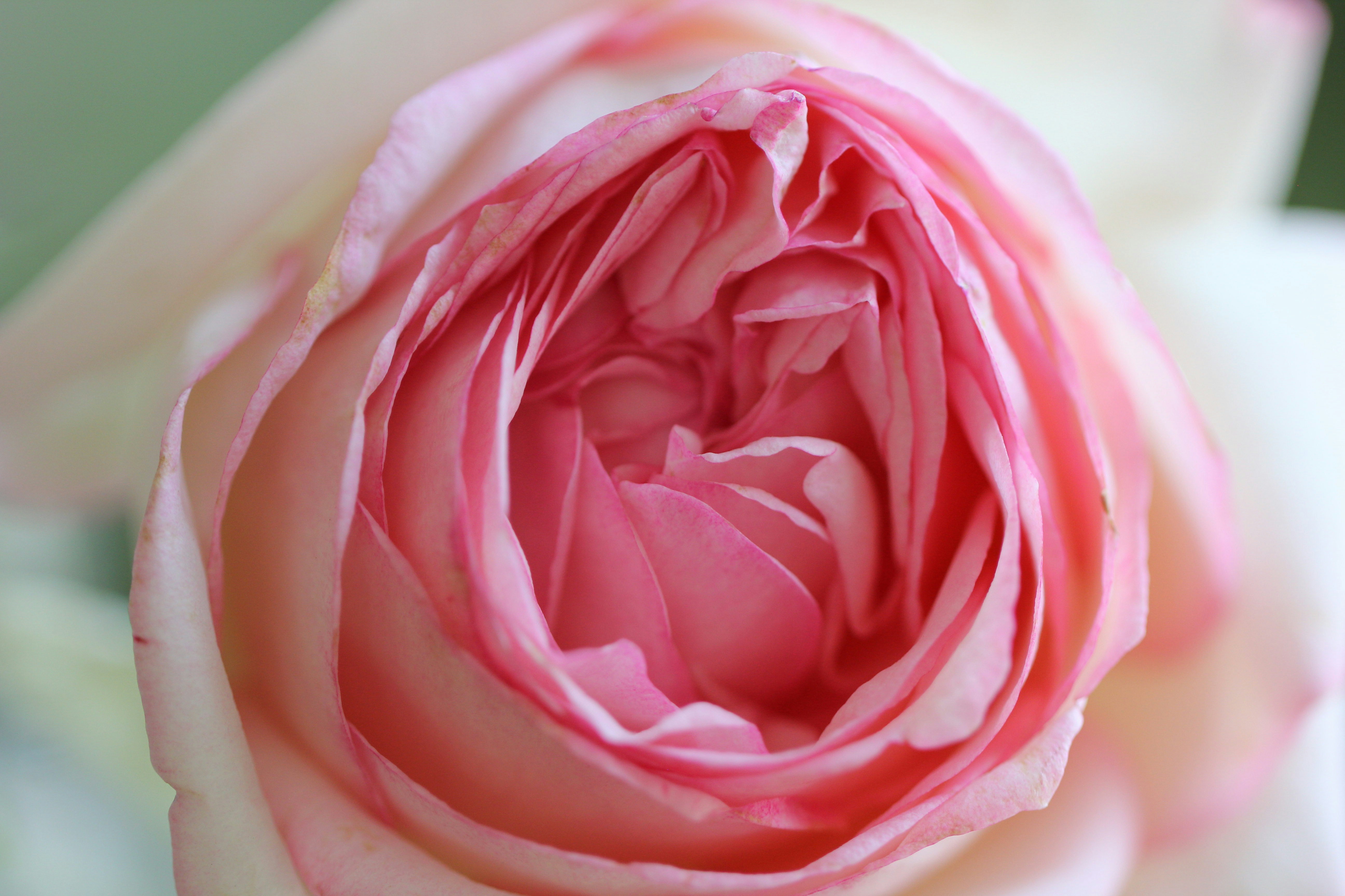 Photo by jasbirvirdi