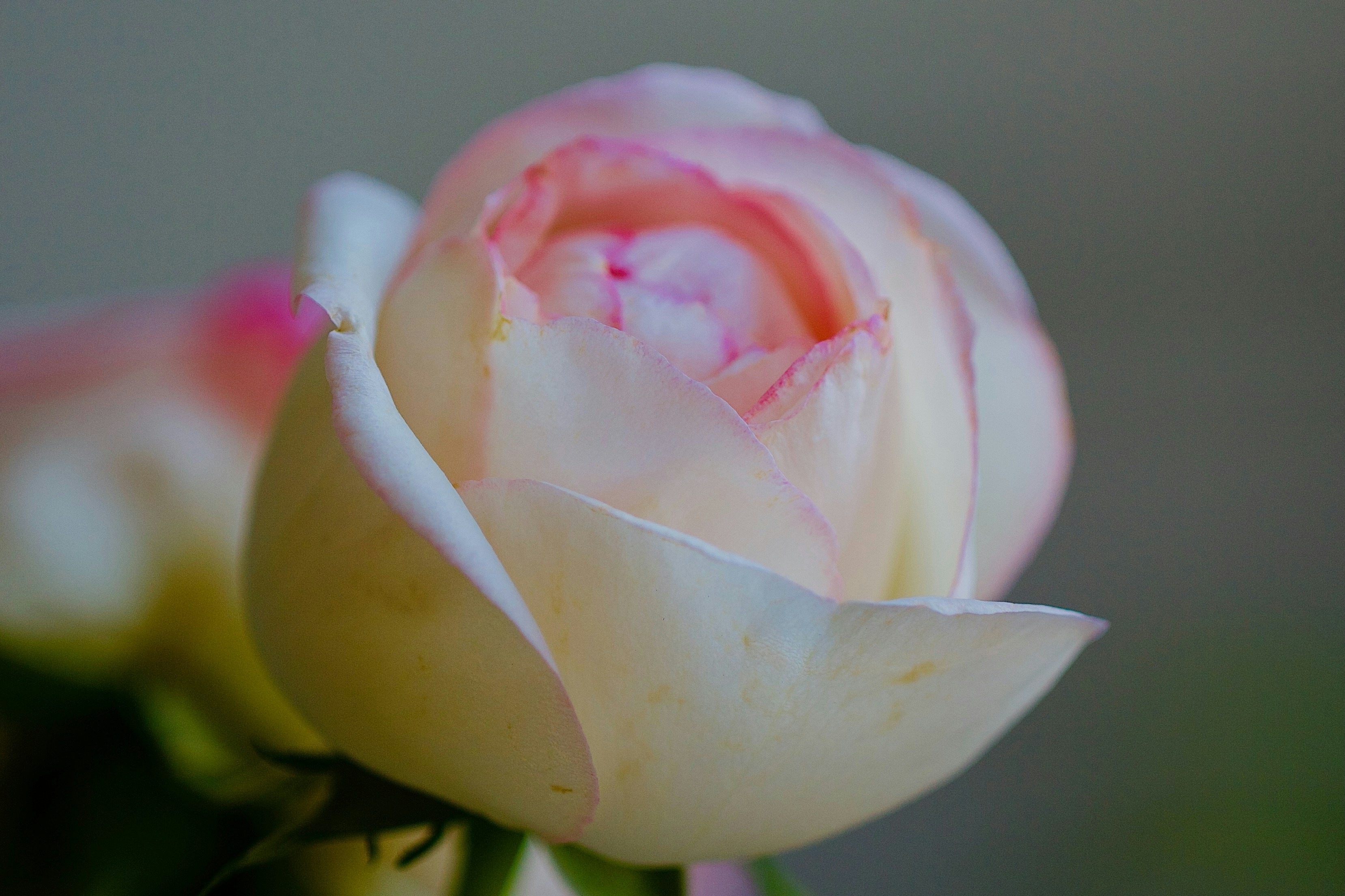 Photo by jasbirvirdi