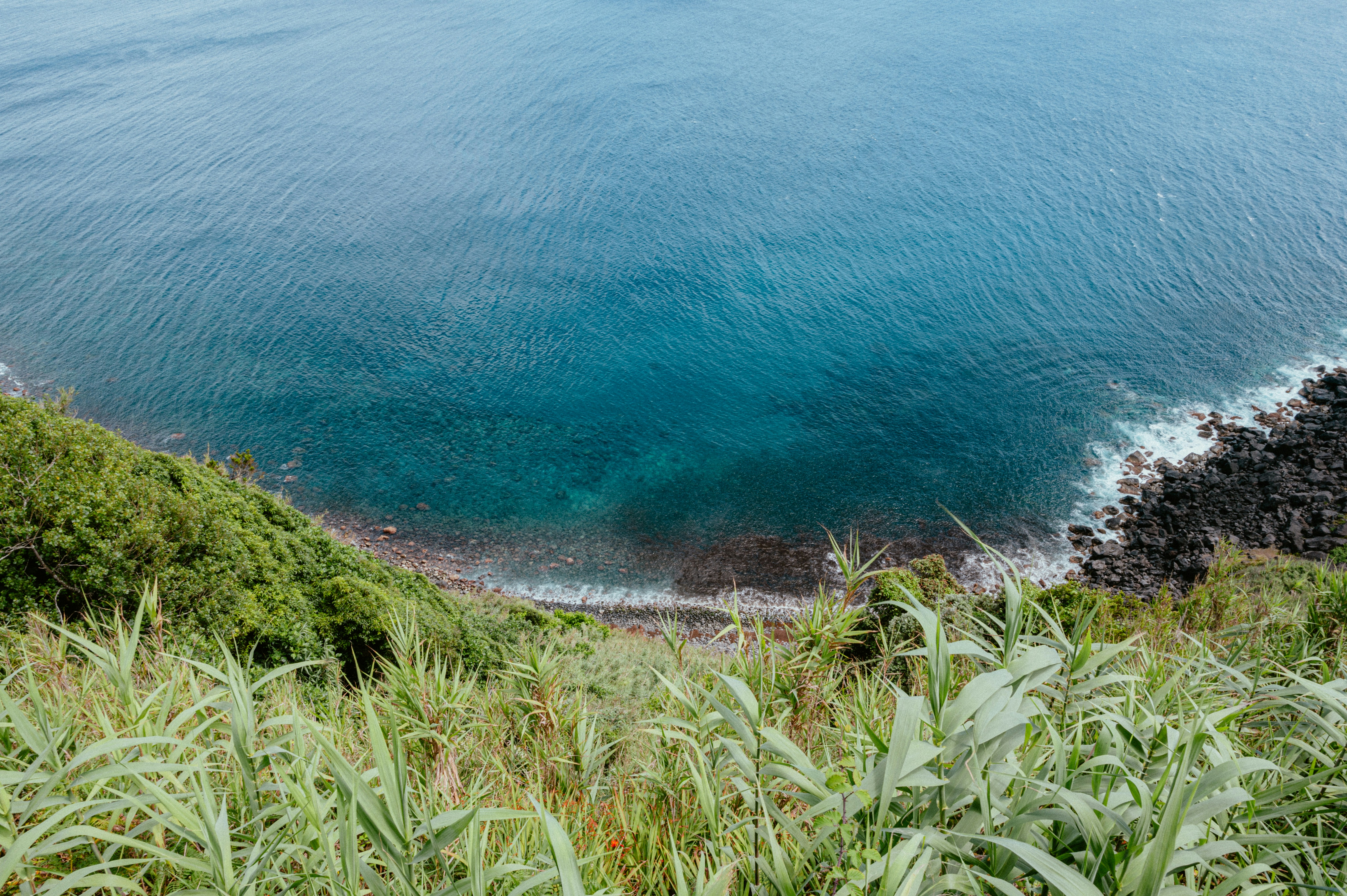 Photo by luca_severin