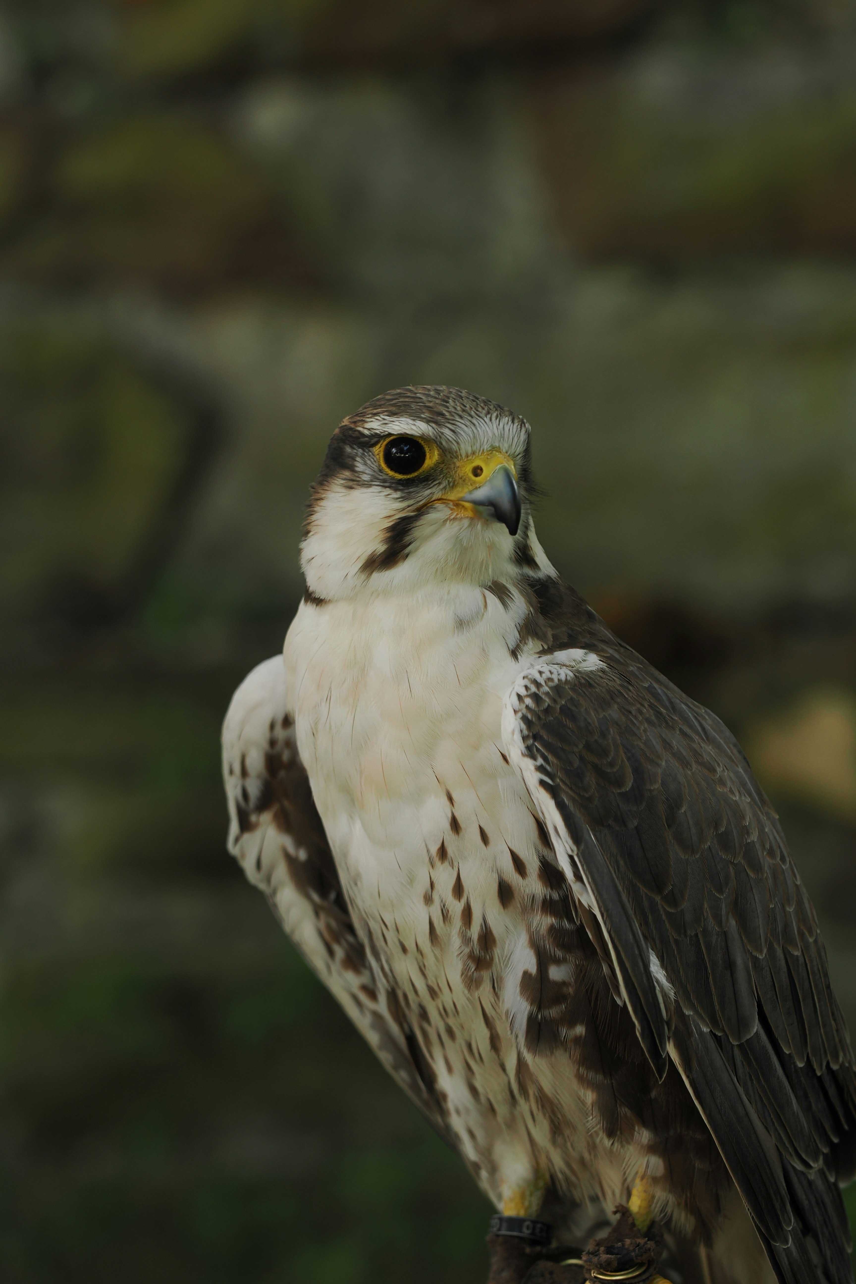 Photo by fotografie_thomas_nolte