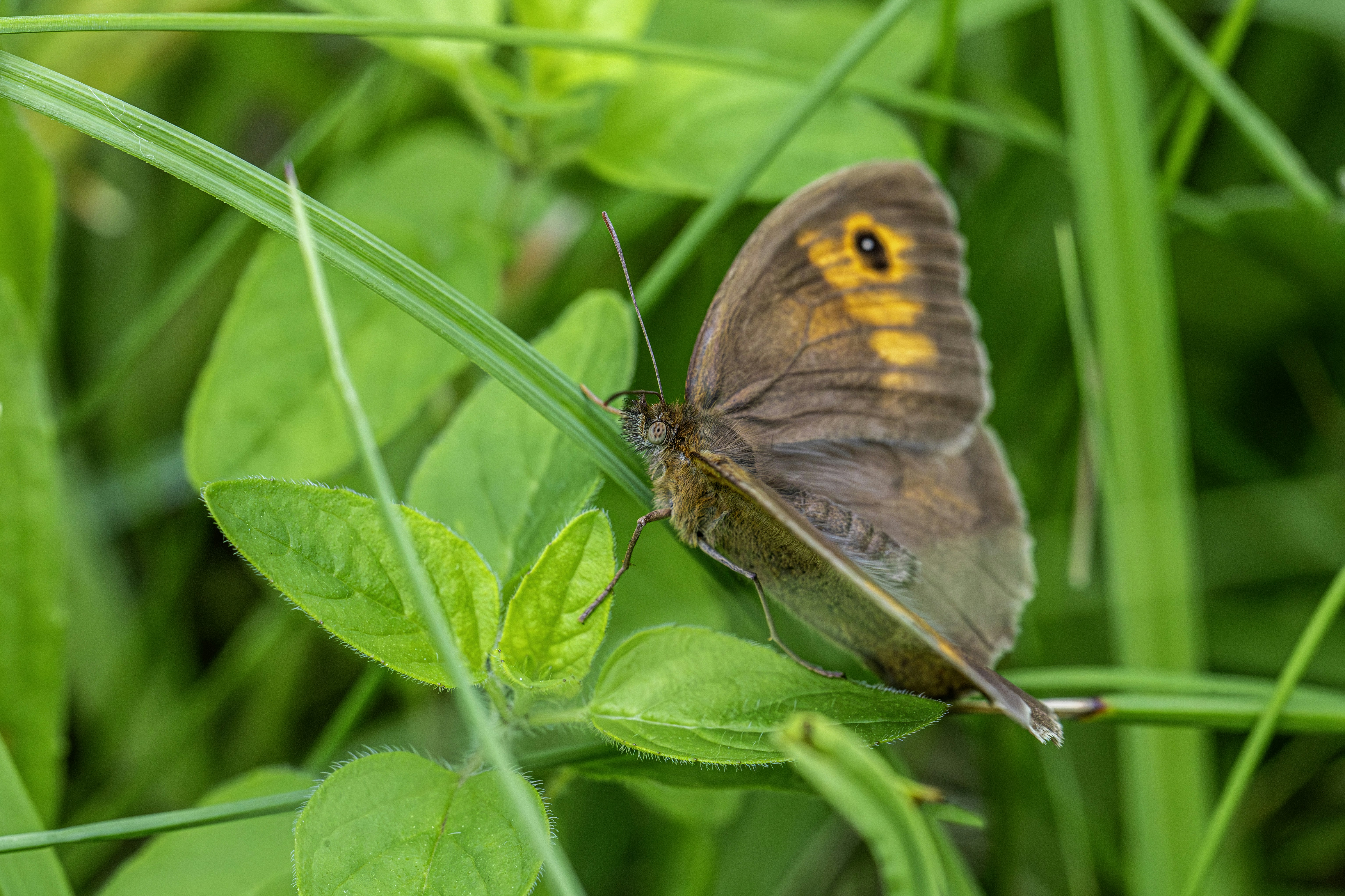 Photo by erik_karits