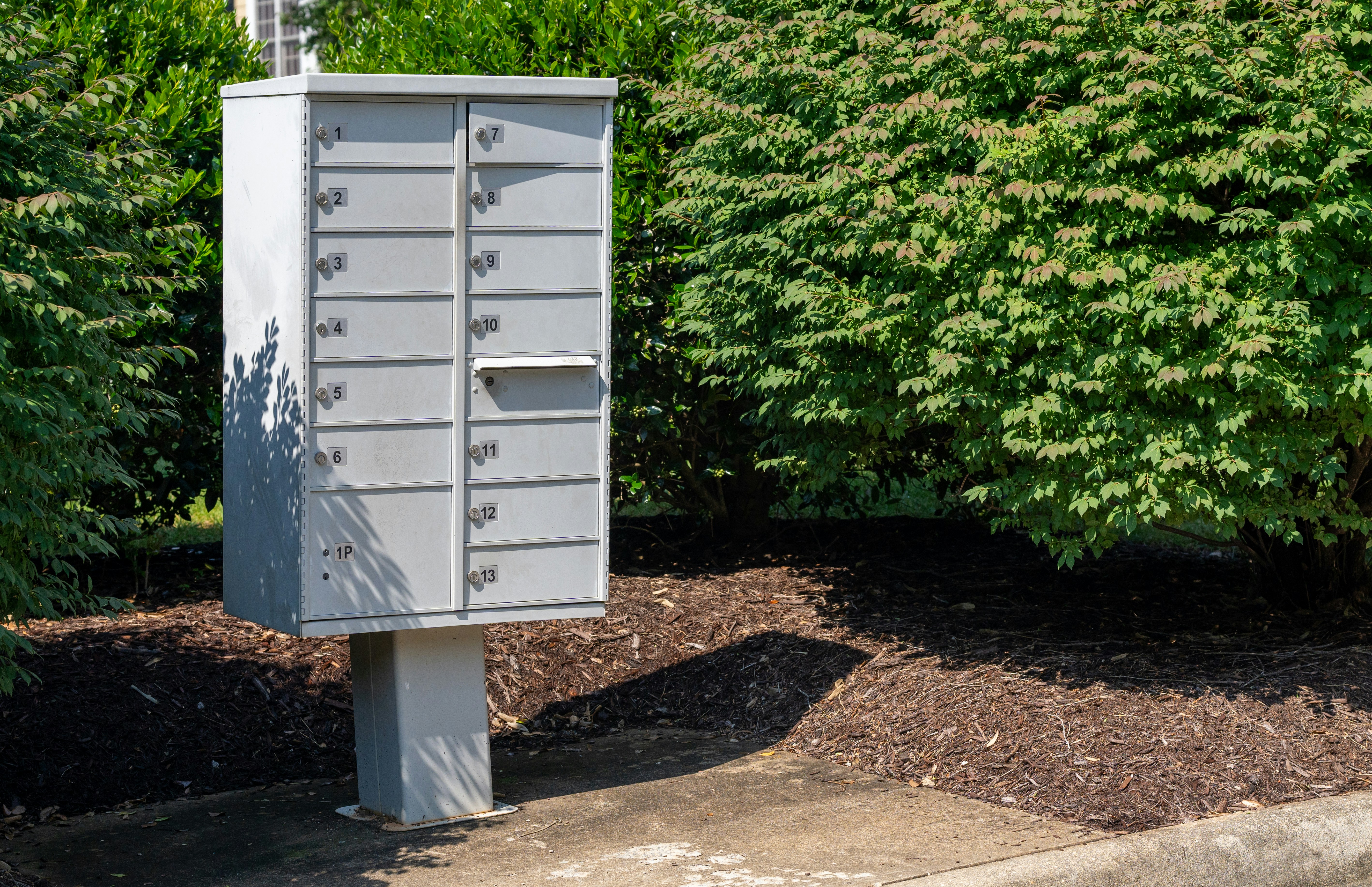 A cluster mailbox sits near shrubbery.