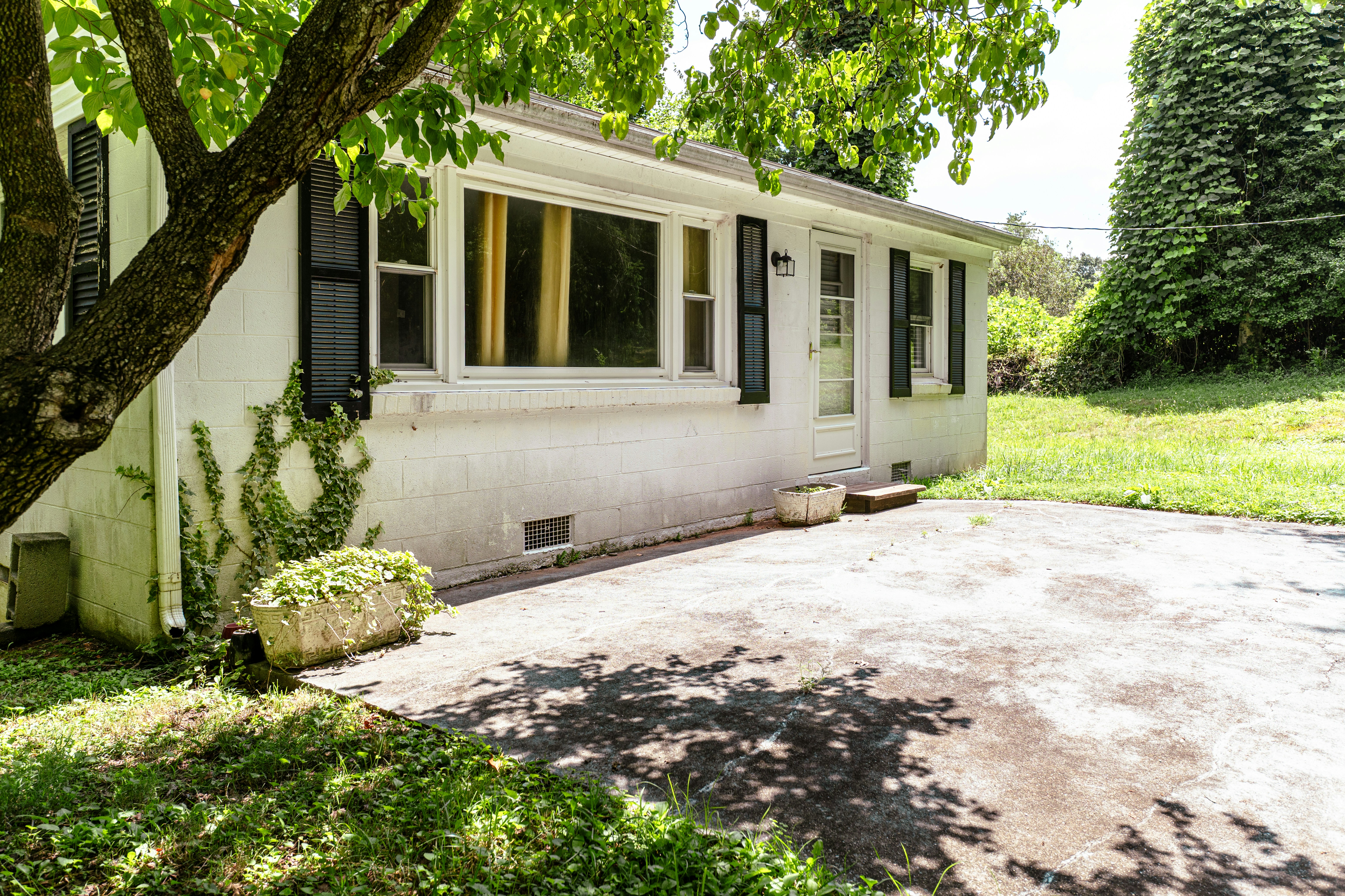 Photo by badcatcraig