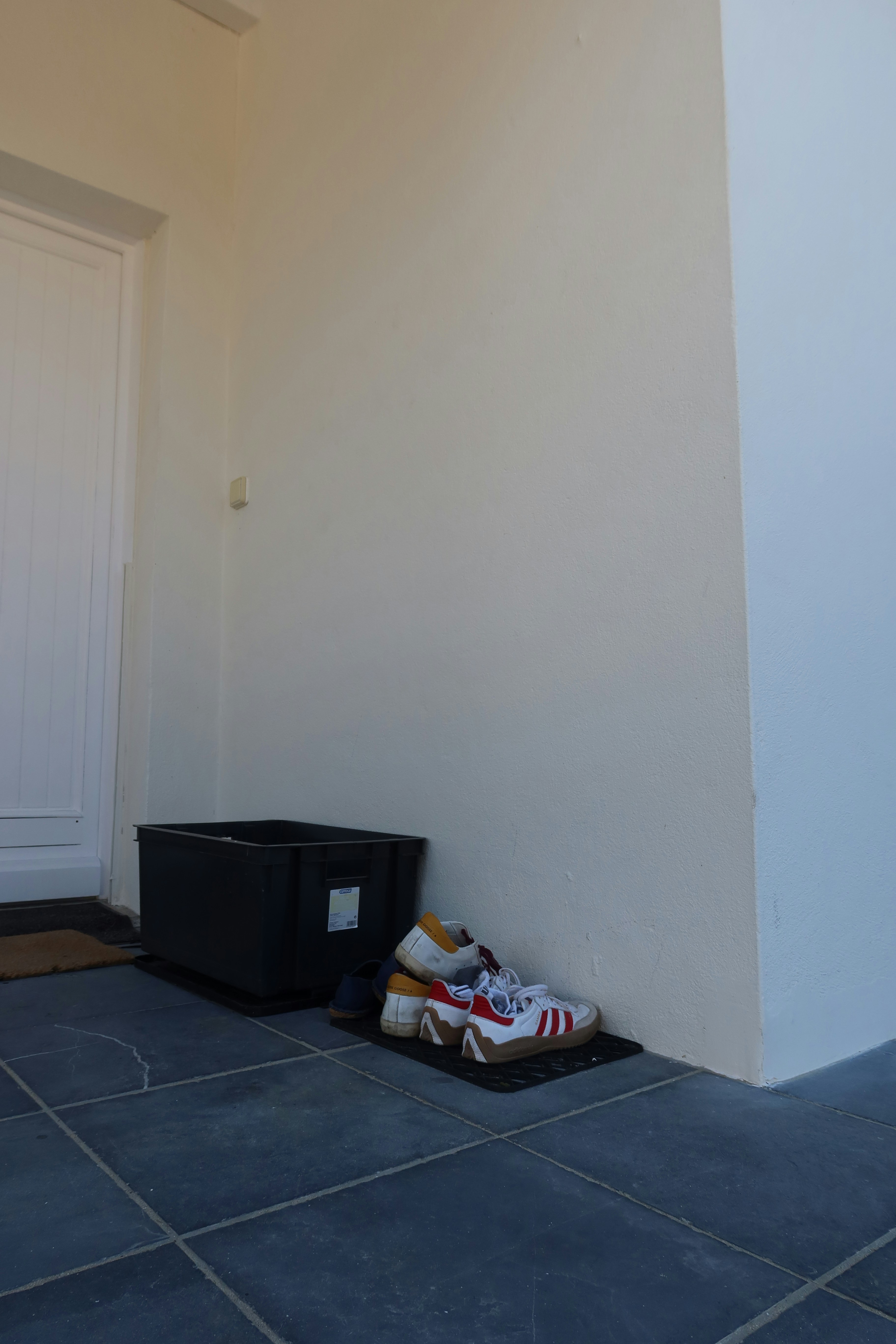 Shoes and a box sit by the door.