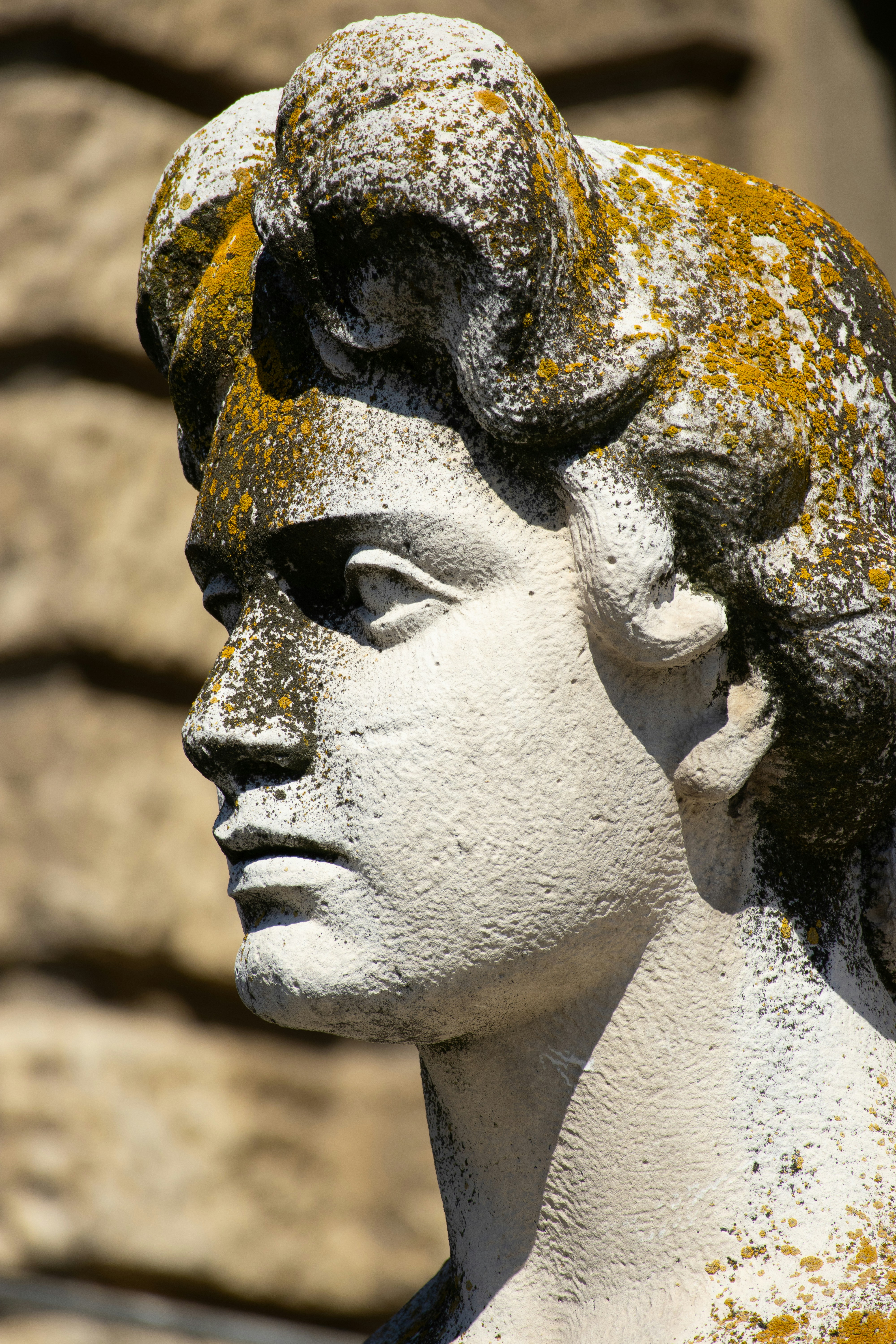 Photo by davidfucsku