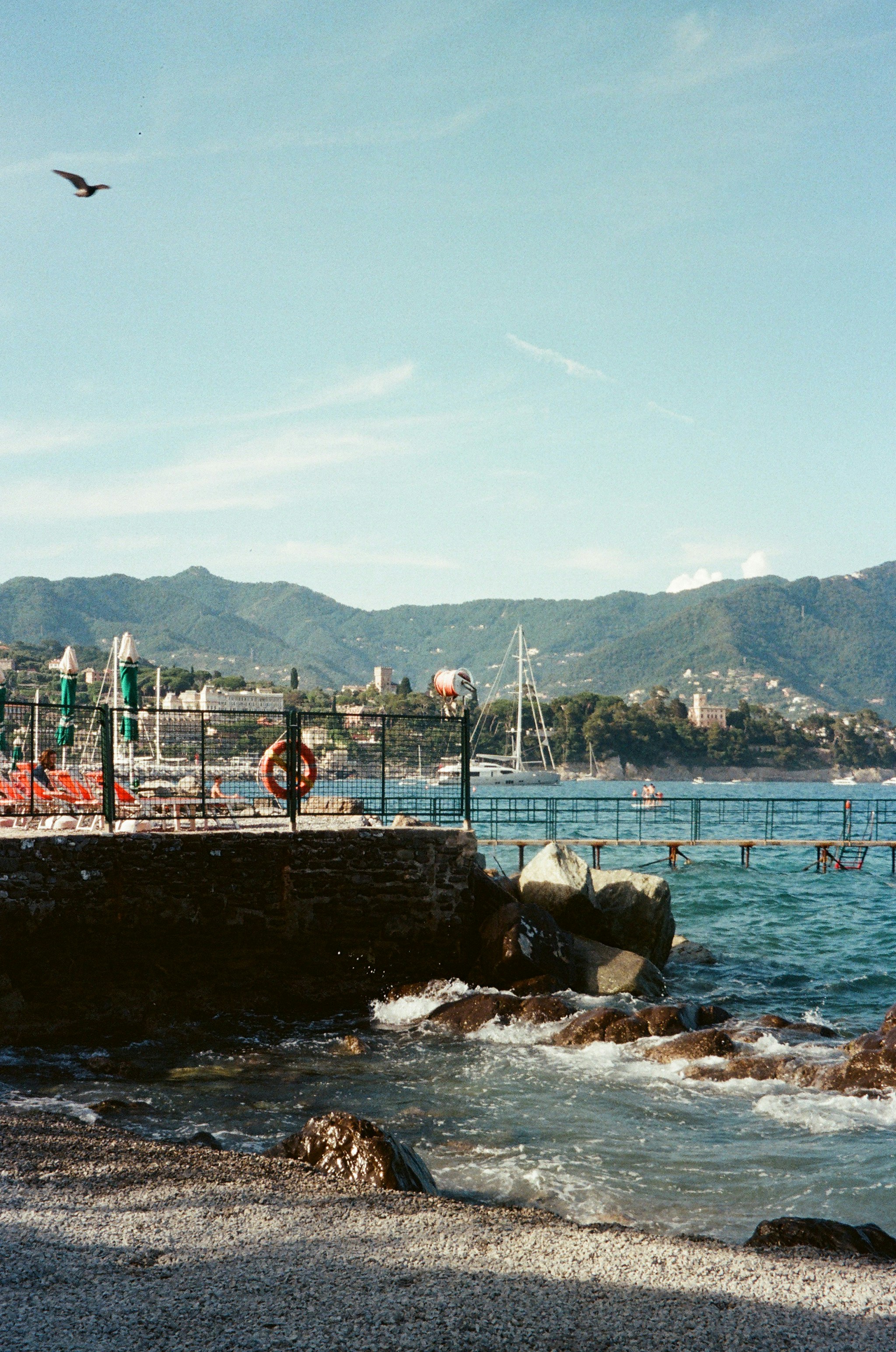 Vista de la orilla del mar con un pájaro volando por encima.