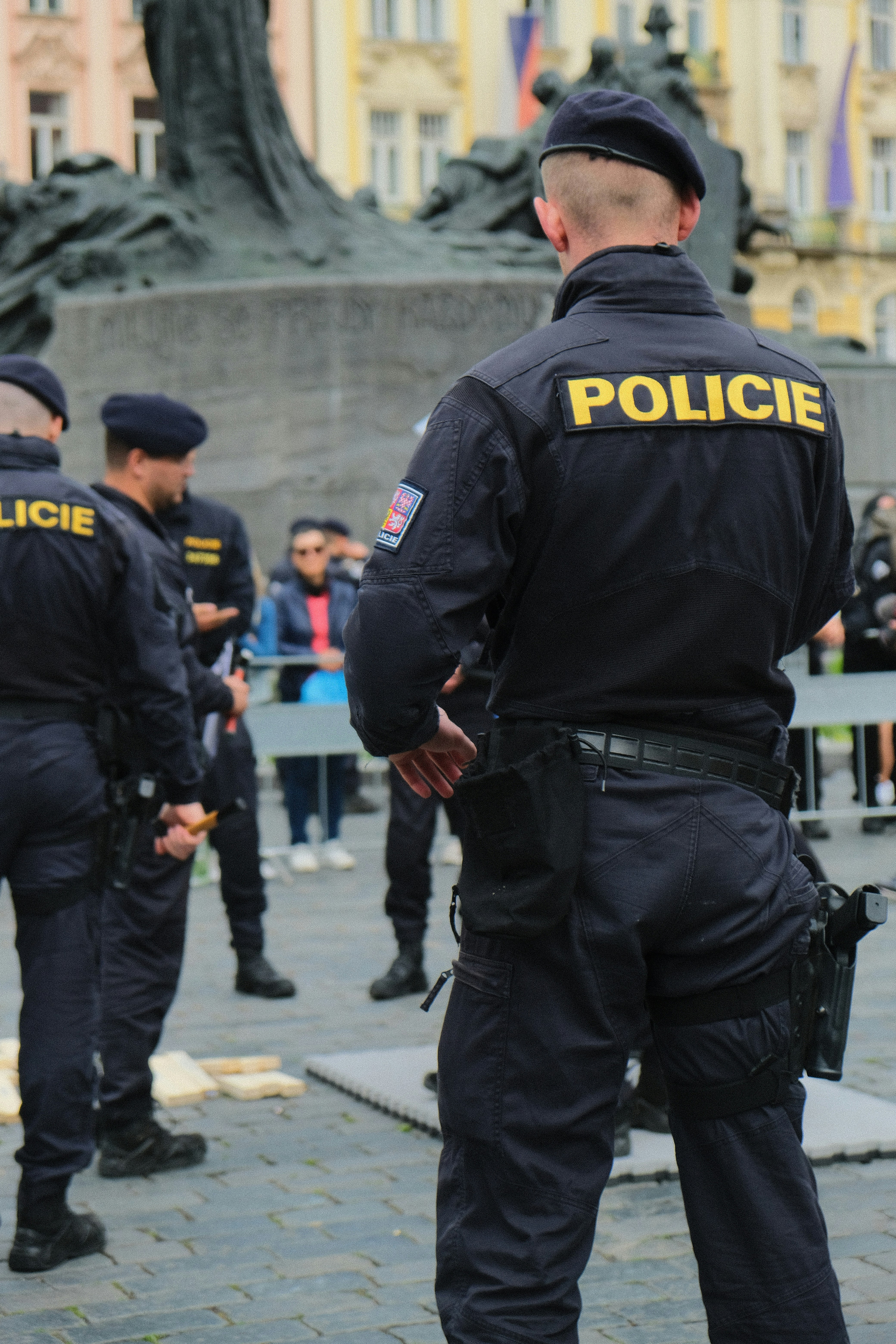 Police protection: best evidence and practice