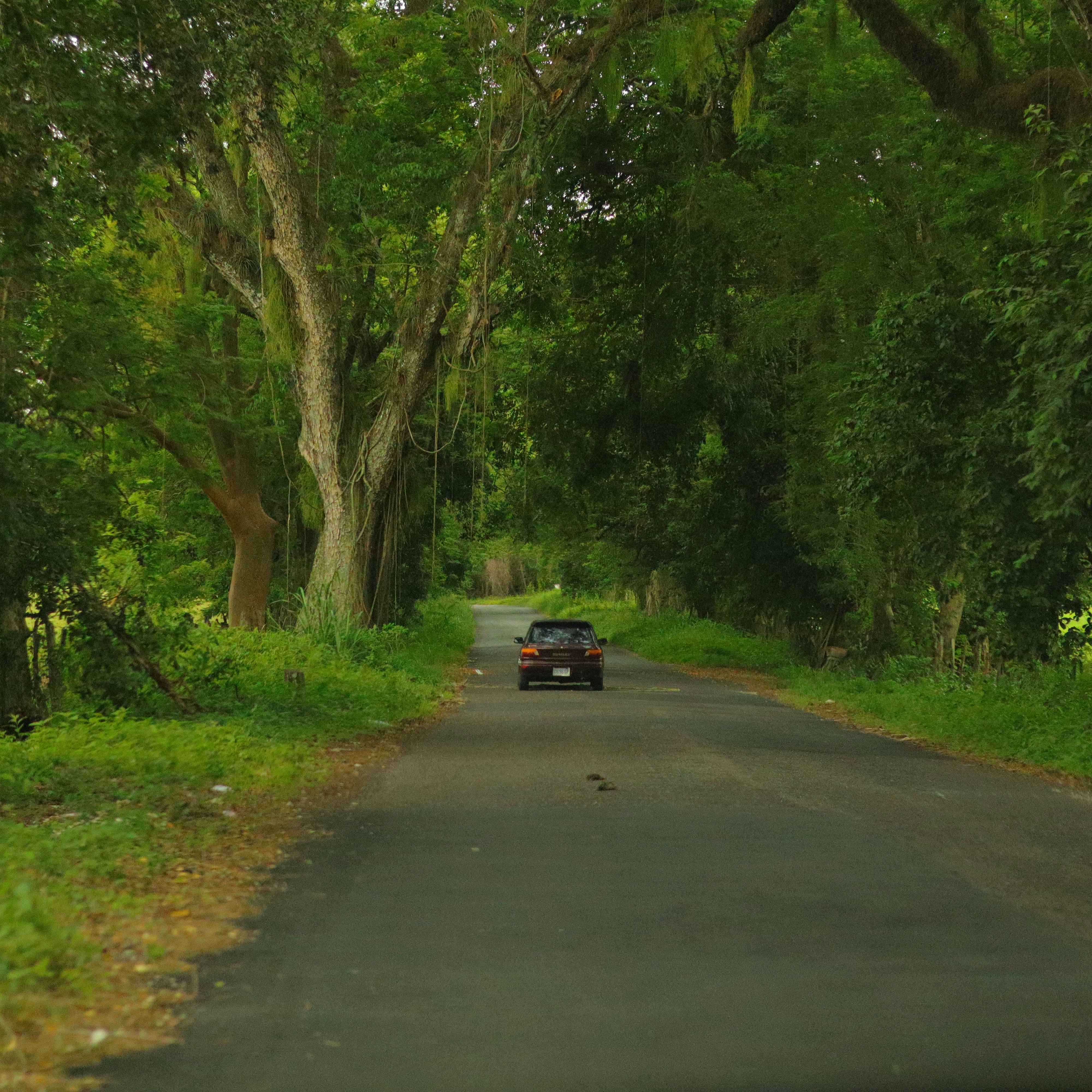 Photo by arrowtipproductions