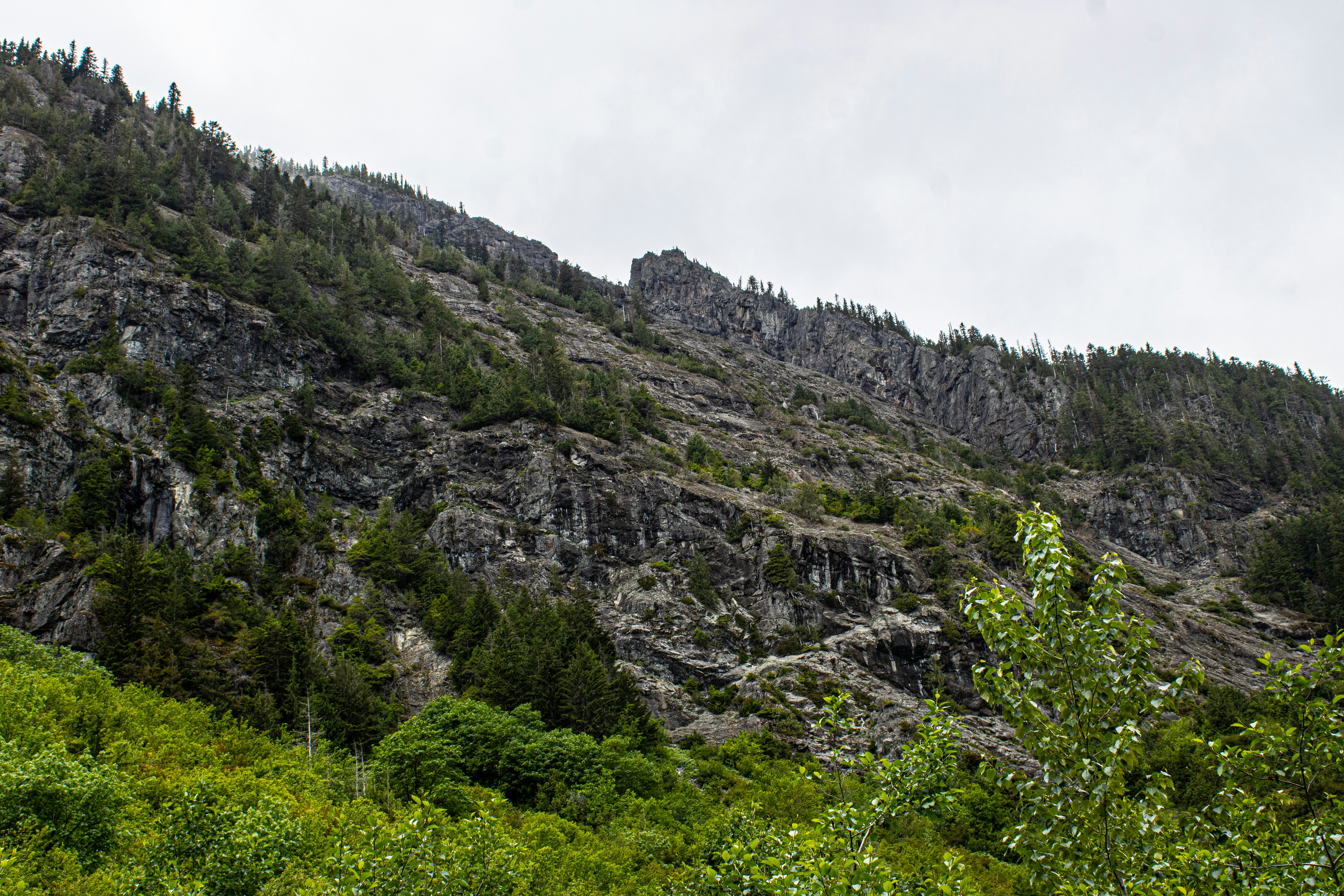Eine felsige Bergflanke mit fleckigem Grün.