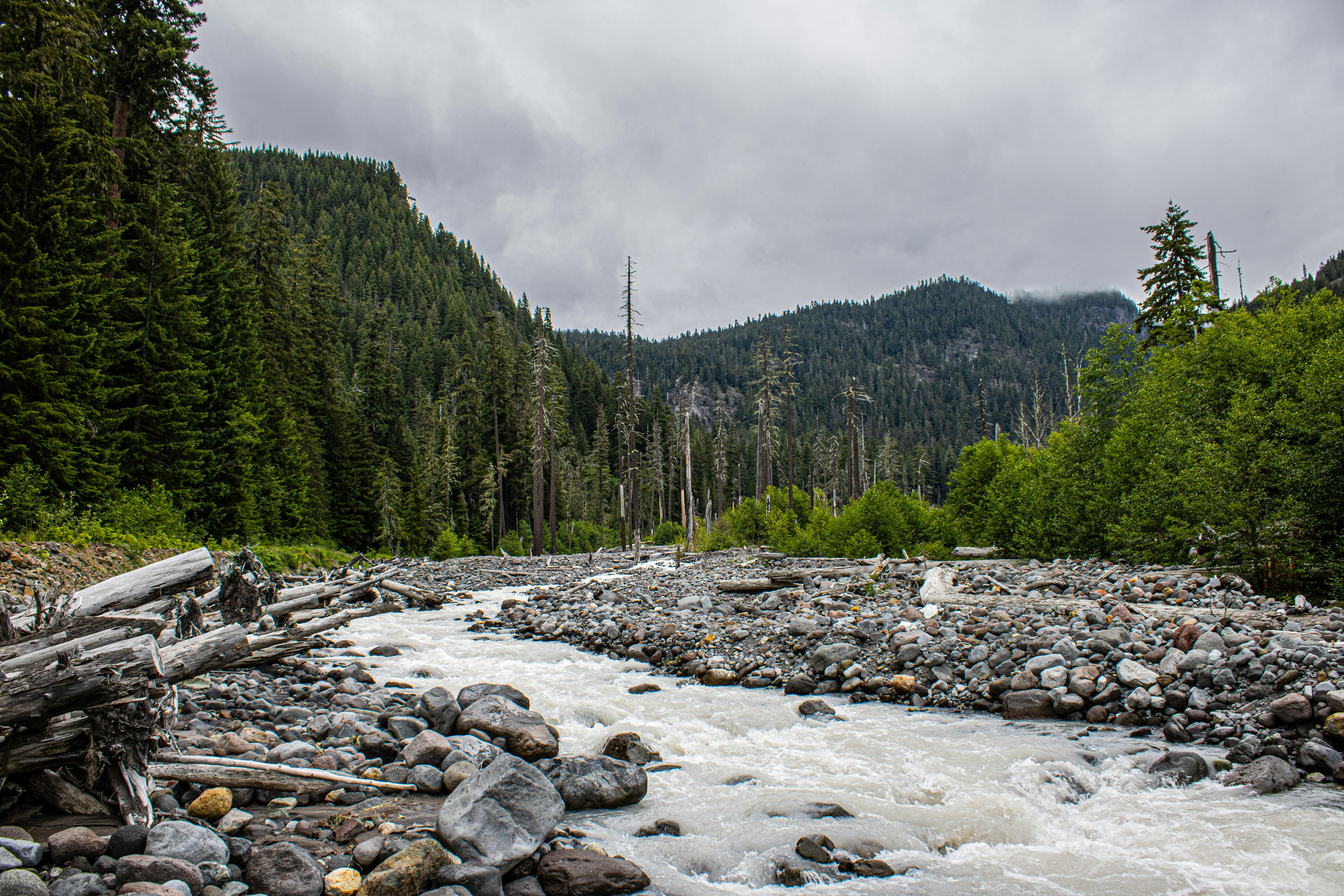 Photo by prphotography262