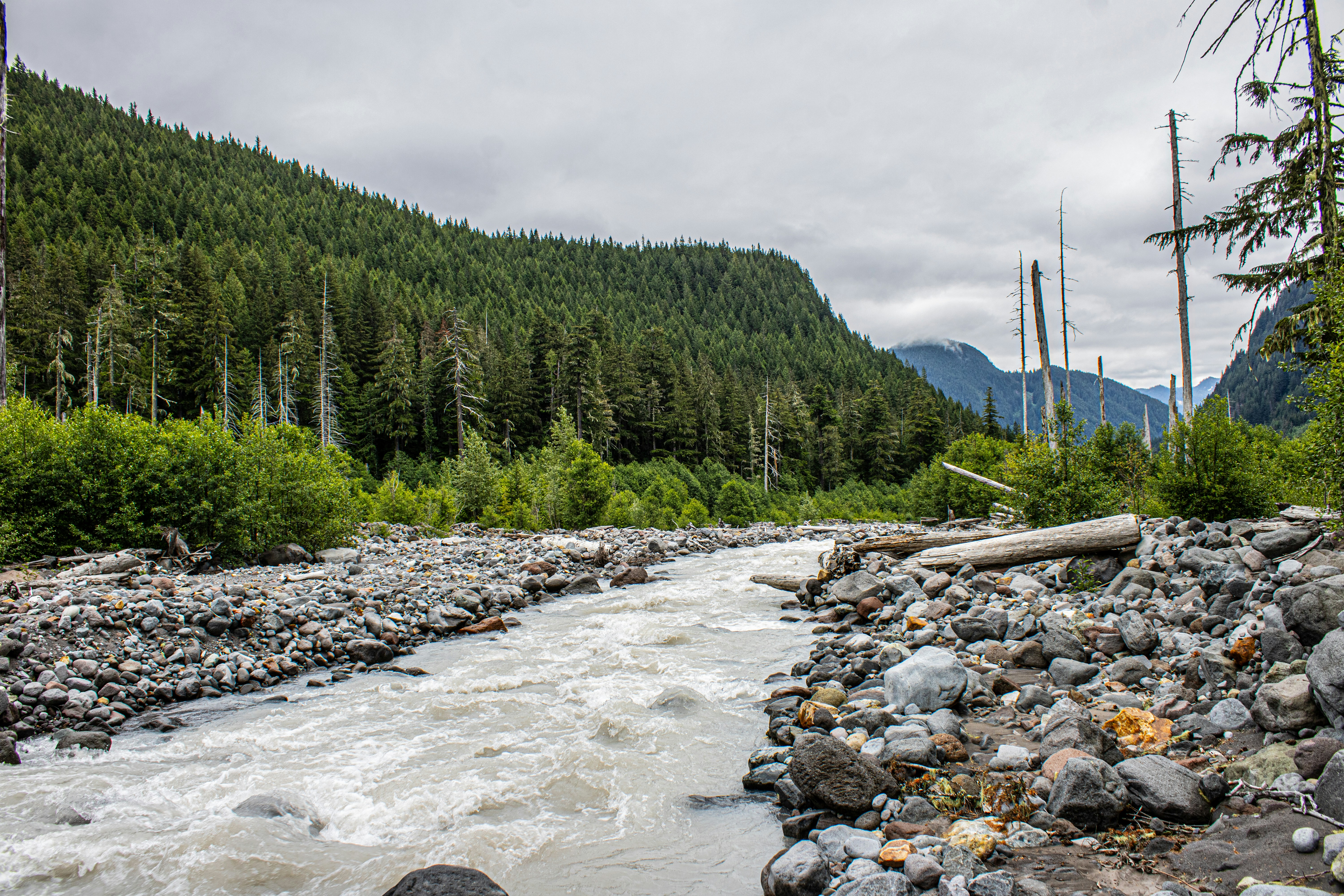 Photo by prphotography262