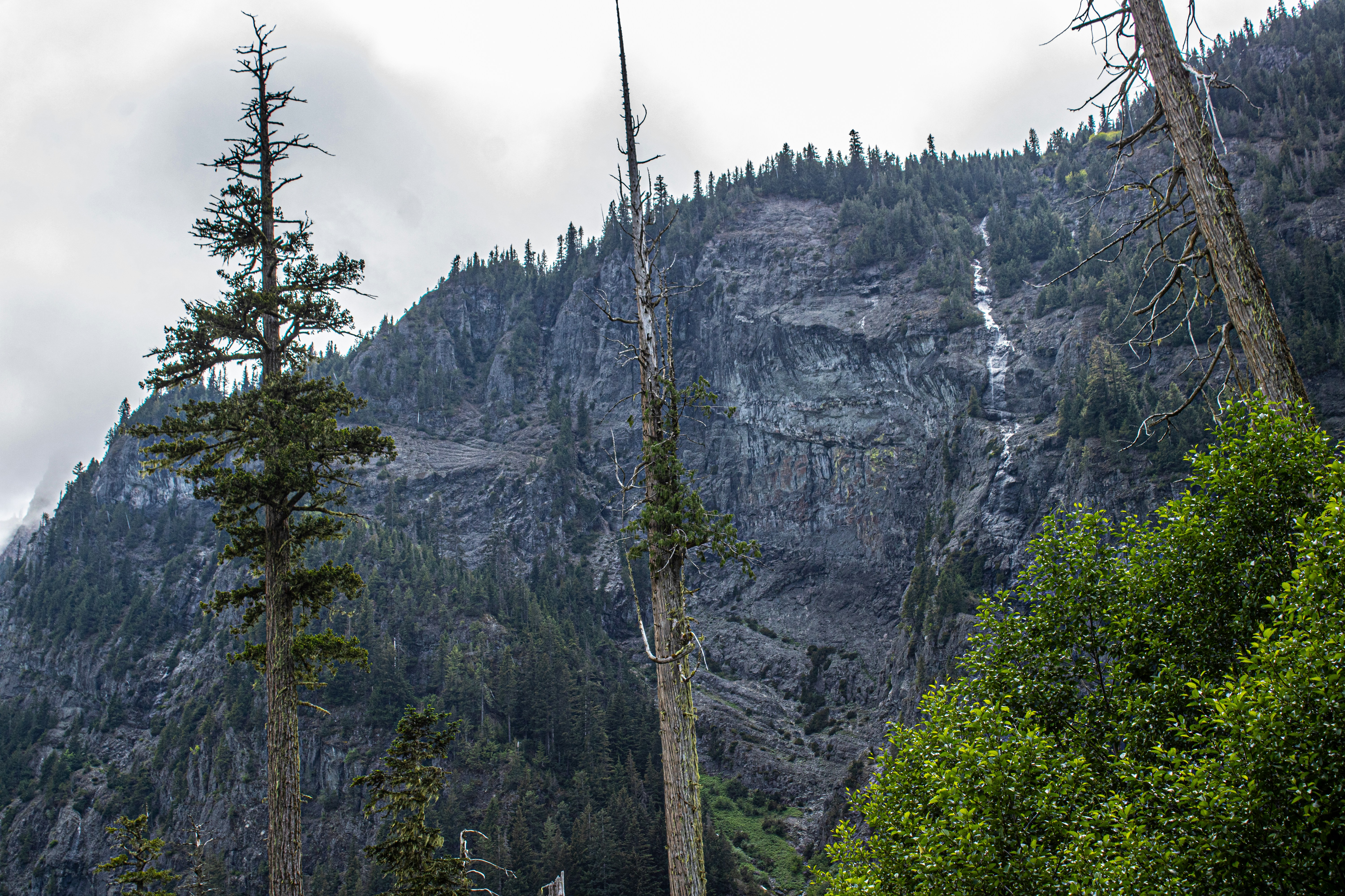 Photo by prphotography262