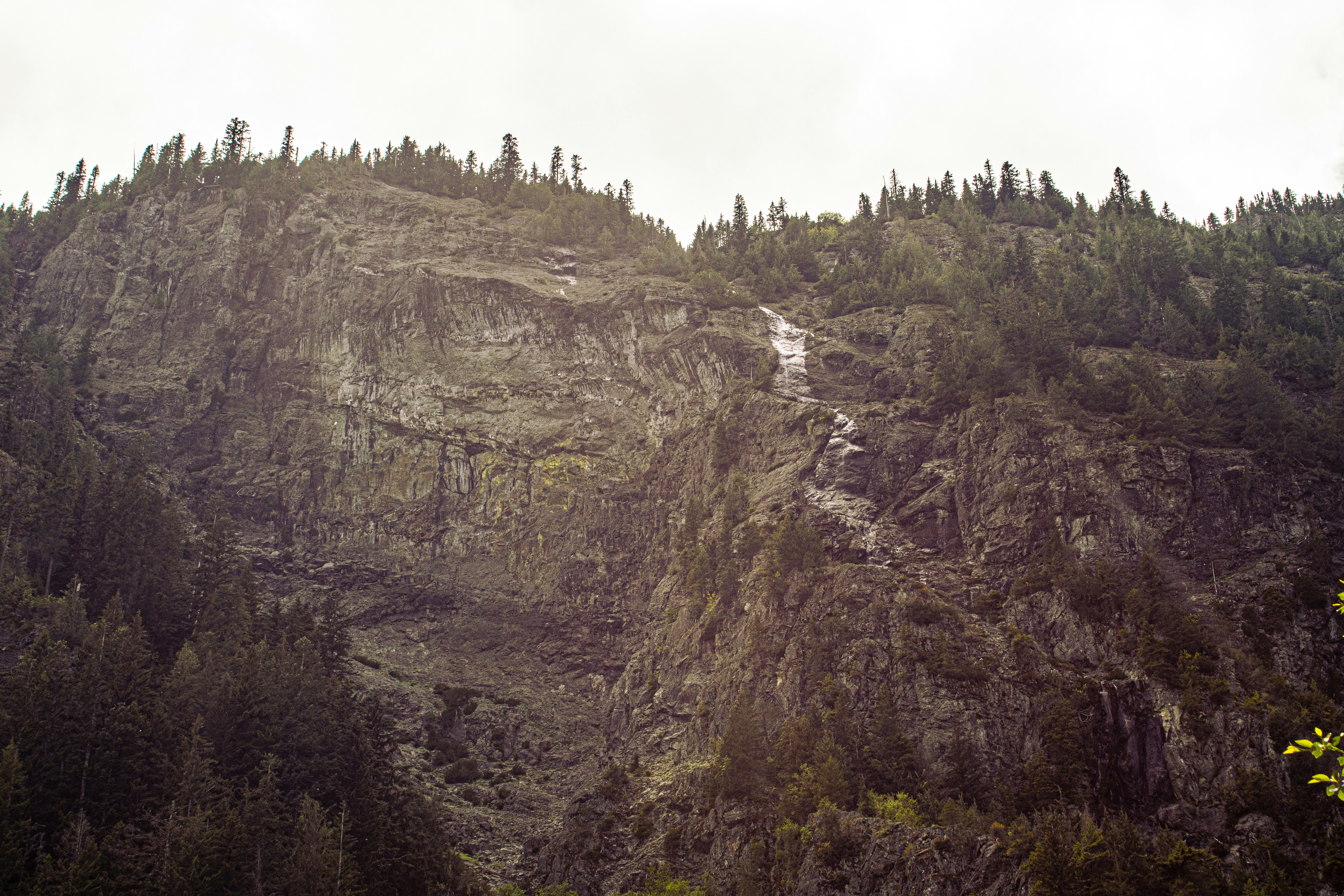 Ein Wasserfall stürzt kaskadenartig einen bewaldeten Berg hinunter.