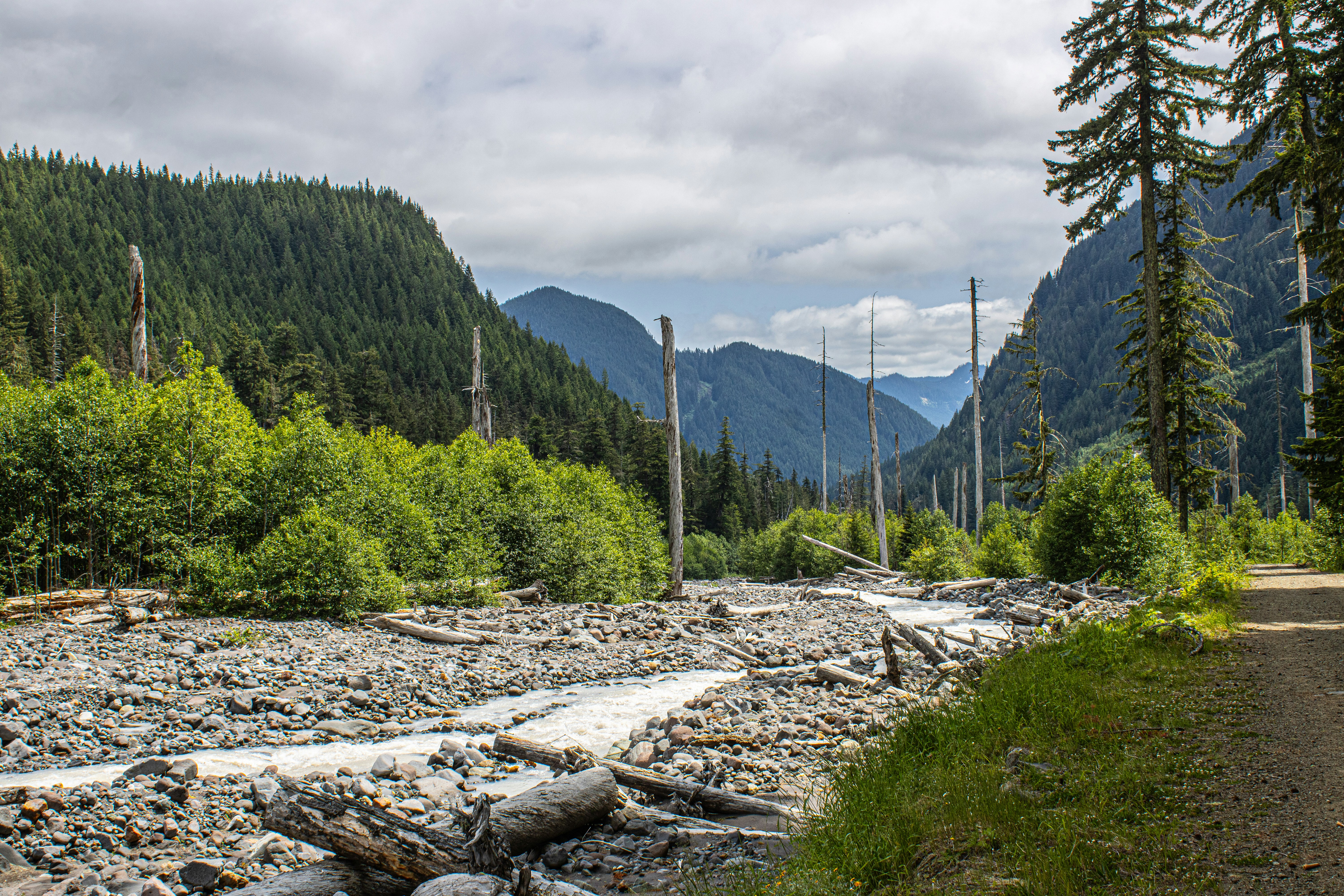 Photo by prphotography262