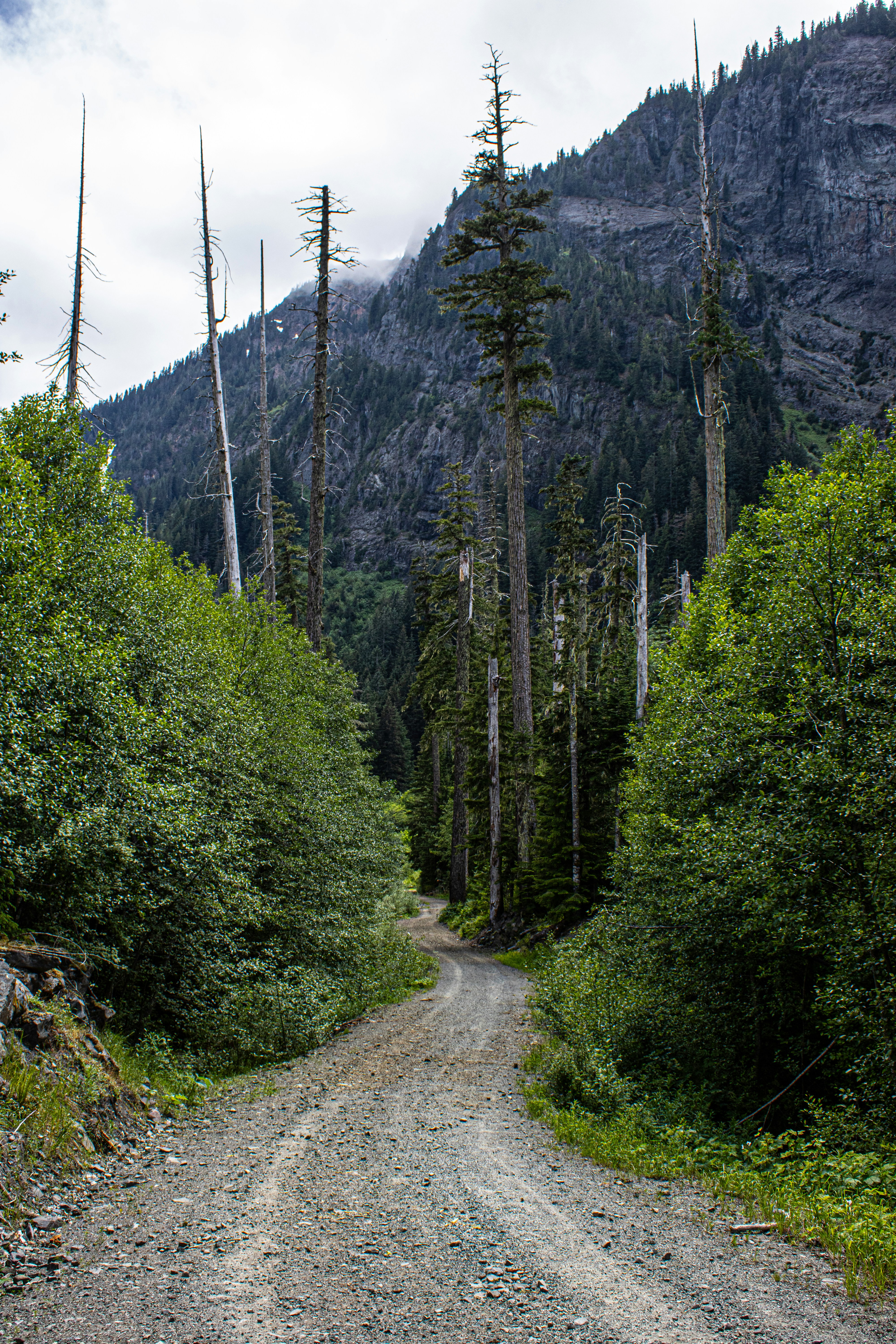 Photo by prphotography262