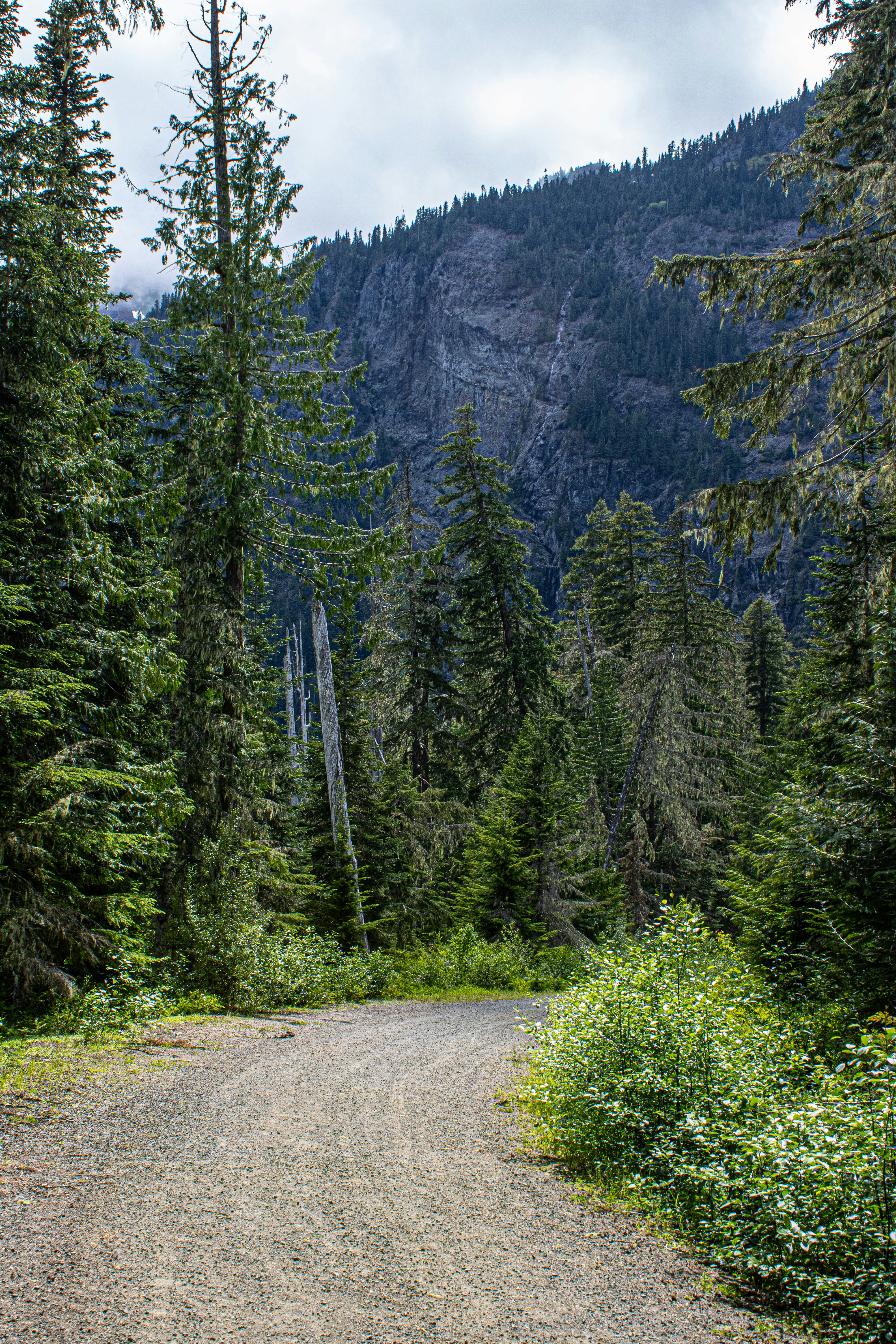 Photo by prphotography262