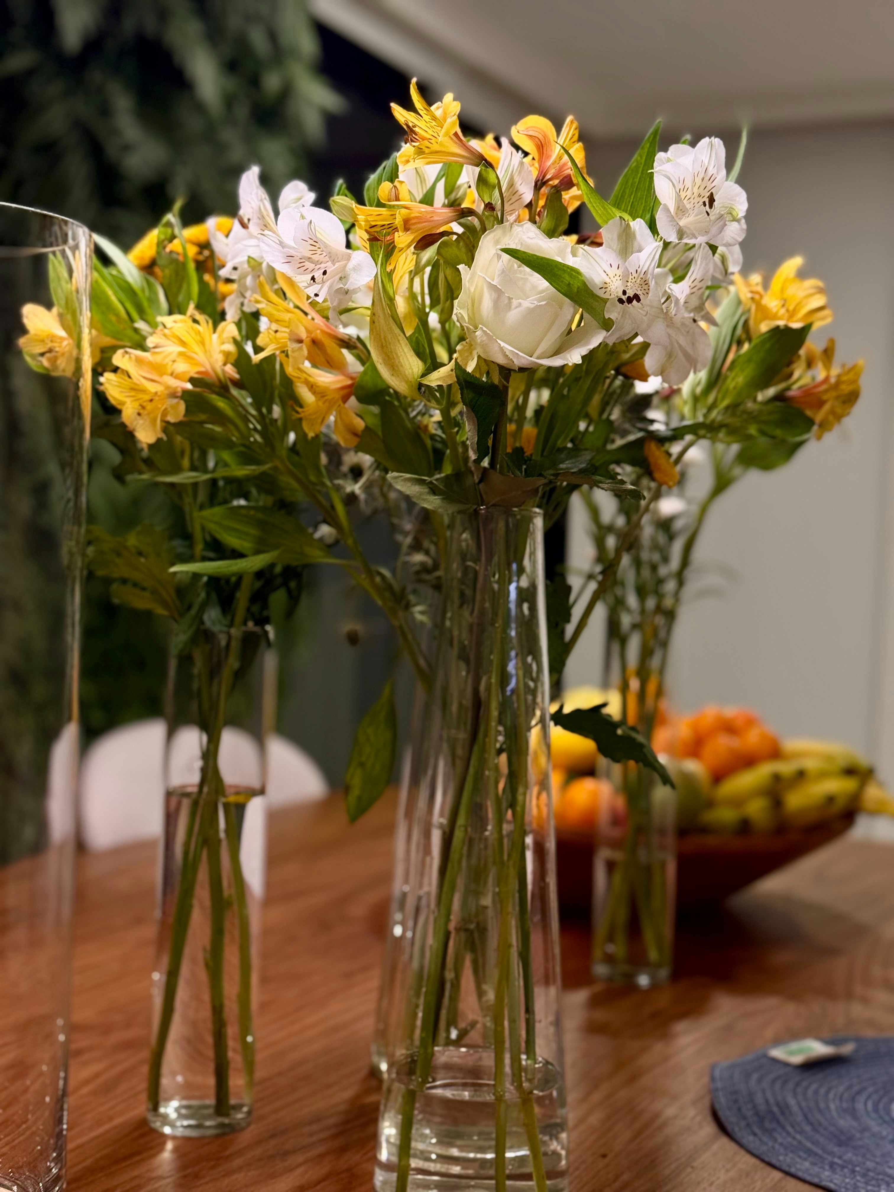 Photo by mirellebuenolobo