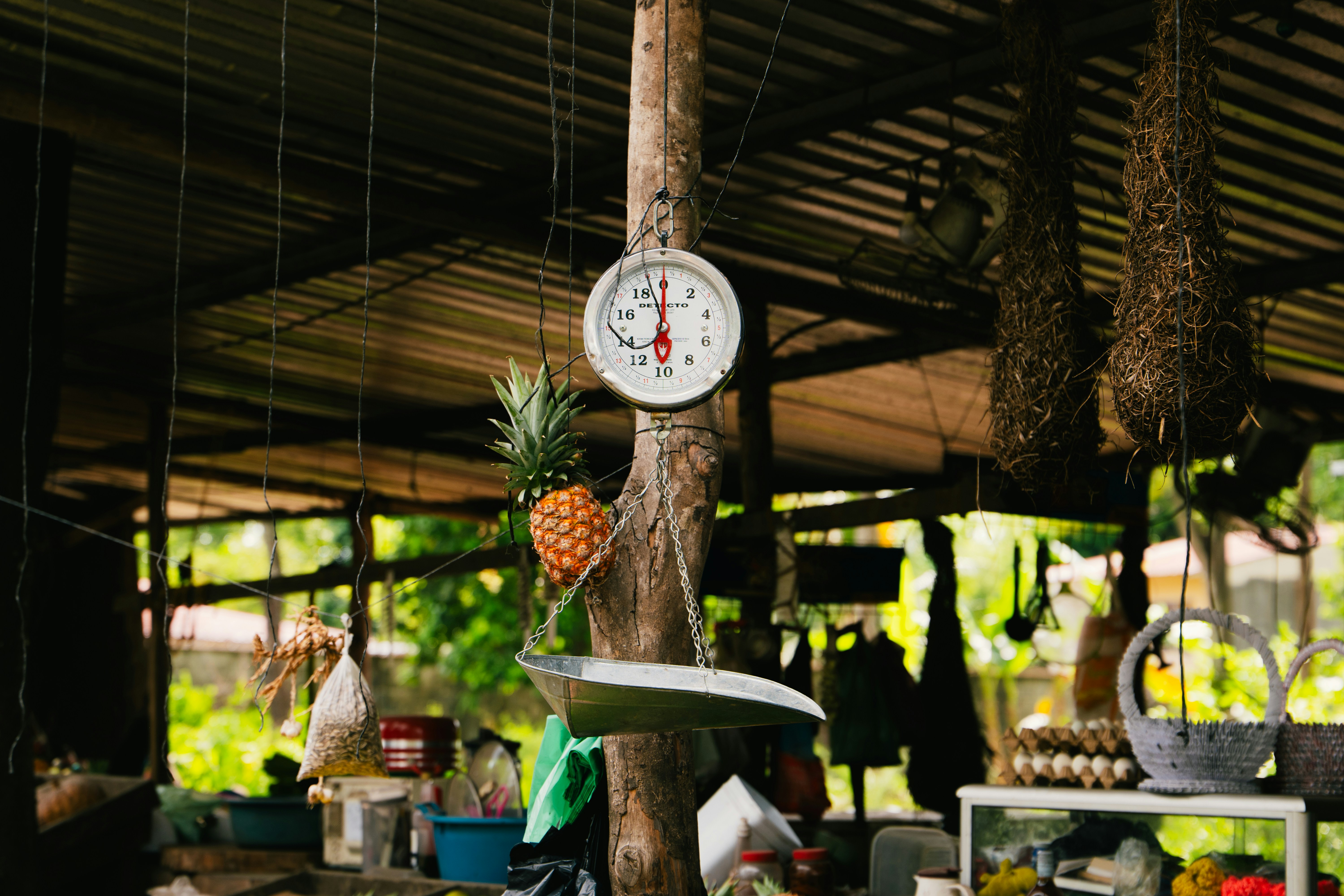 A pineapple is on a scale in a shed.