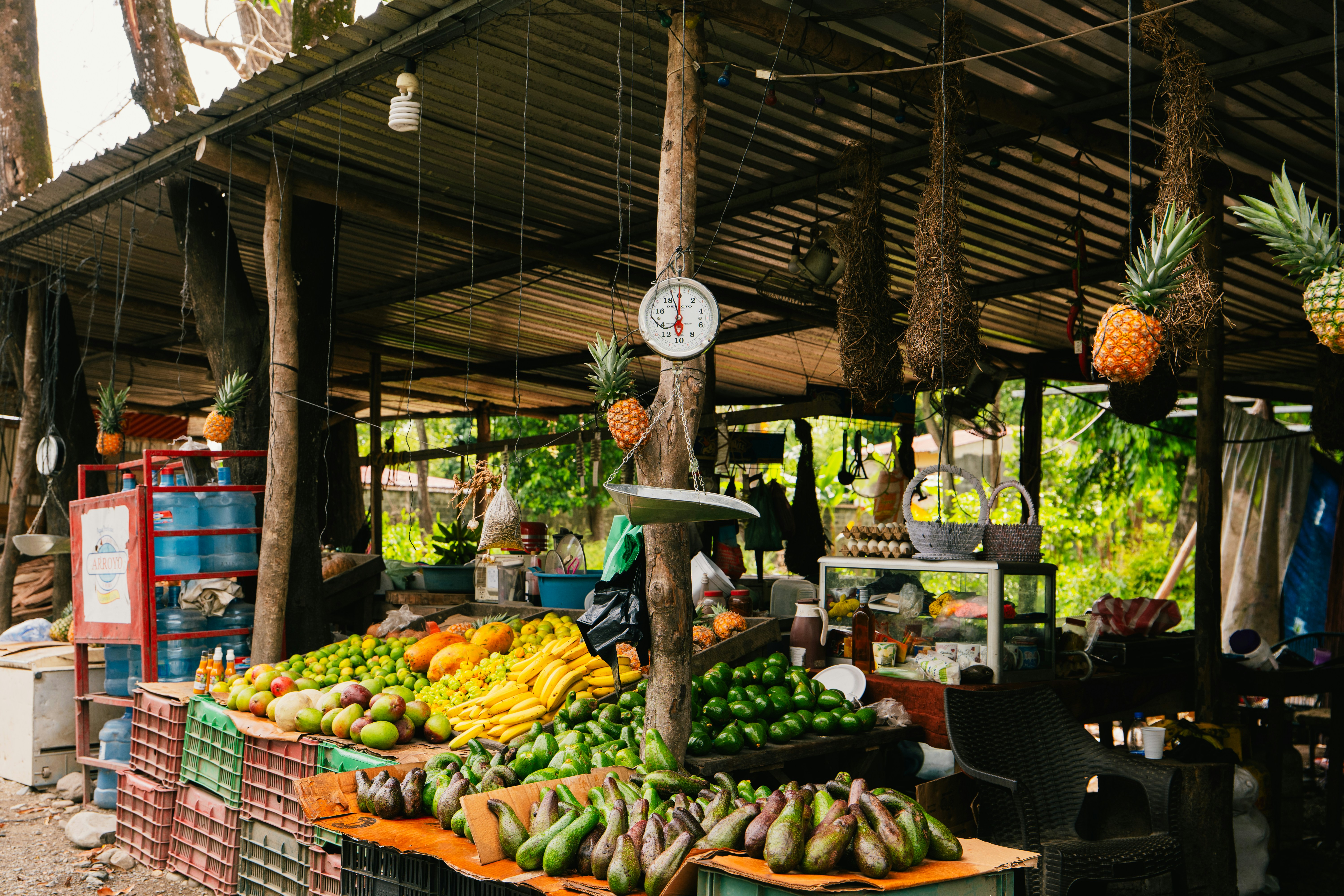 Photo by 17allansfilms