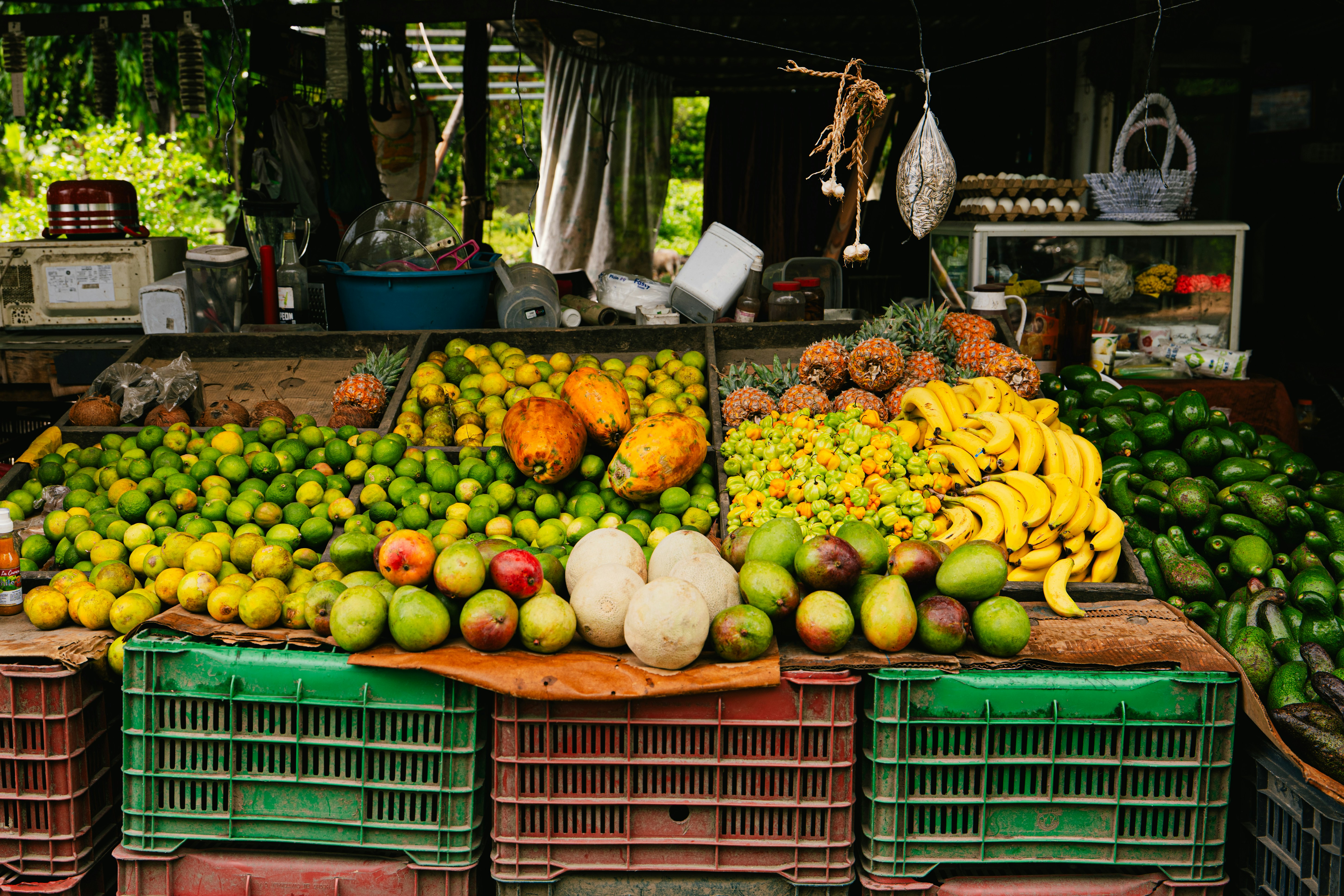 Photo by 17allansfilms