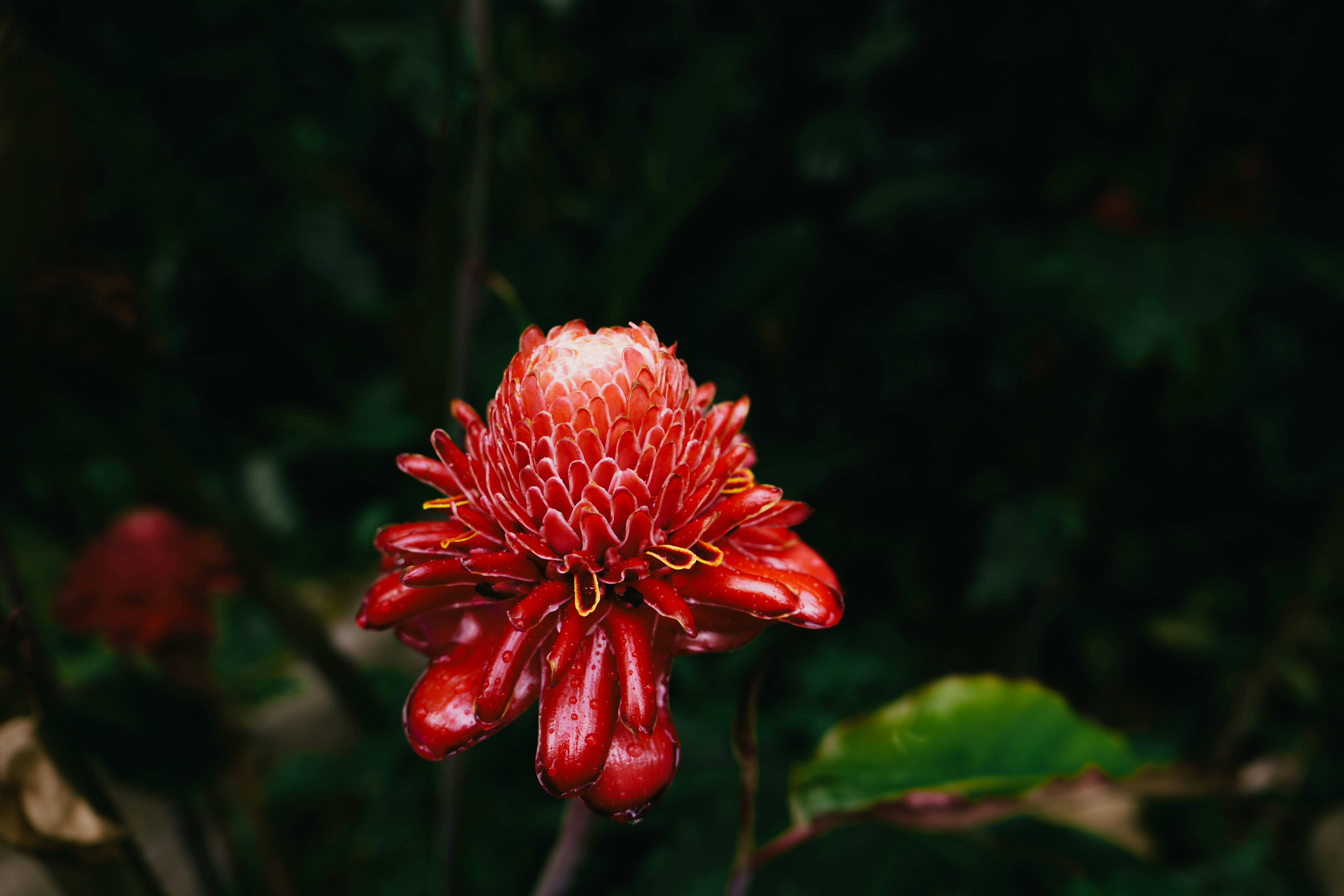 Photo by 17allansfilms