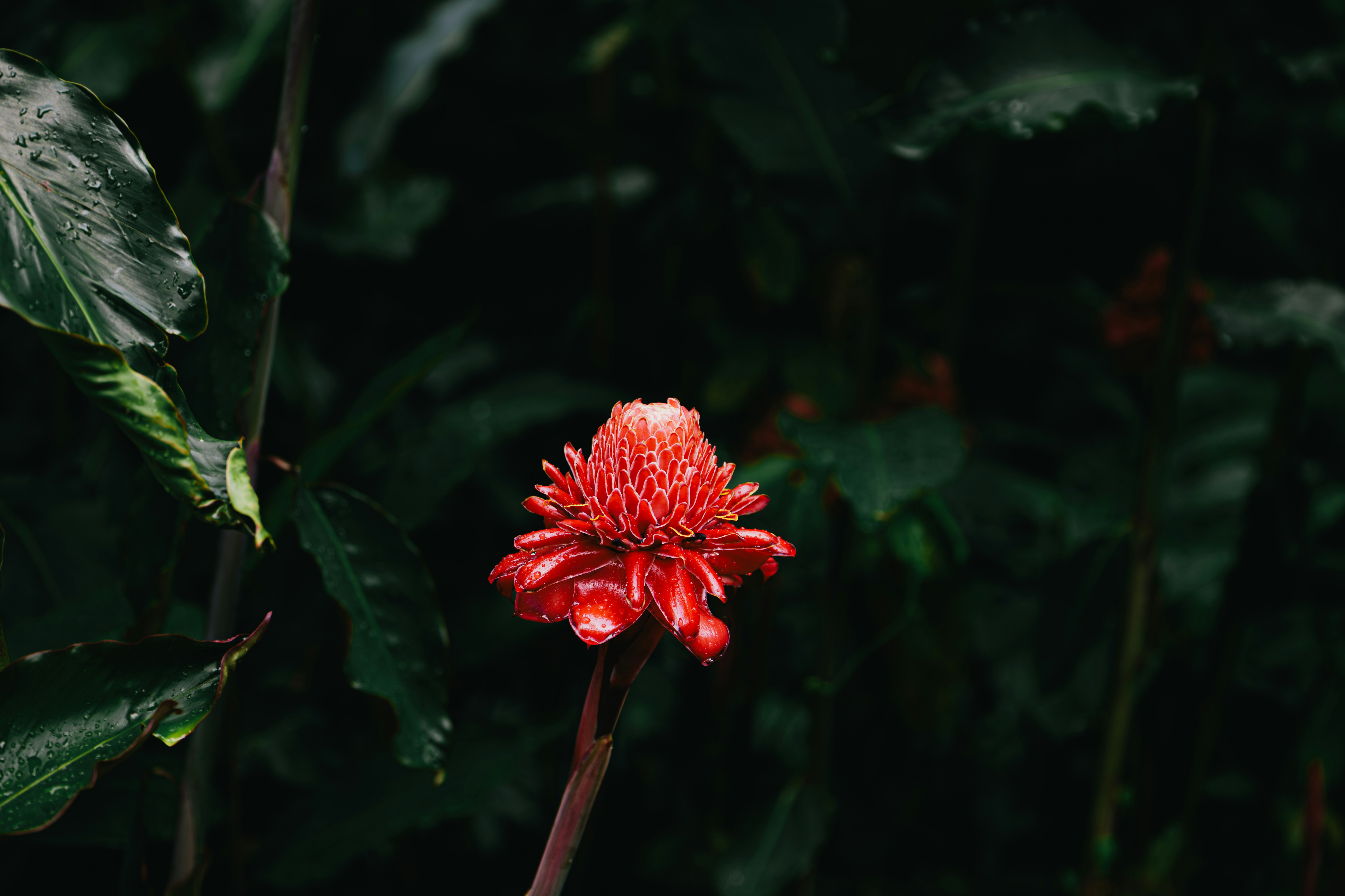 Photo by 17allansfilms