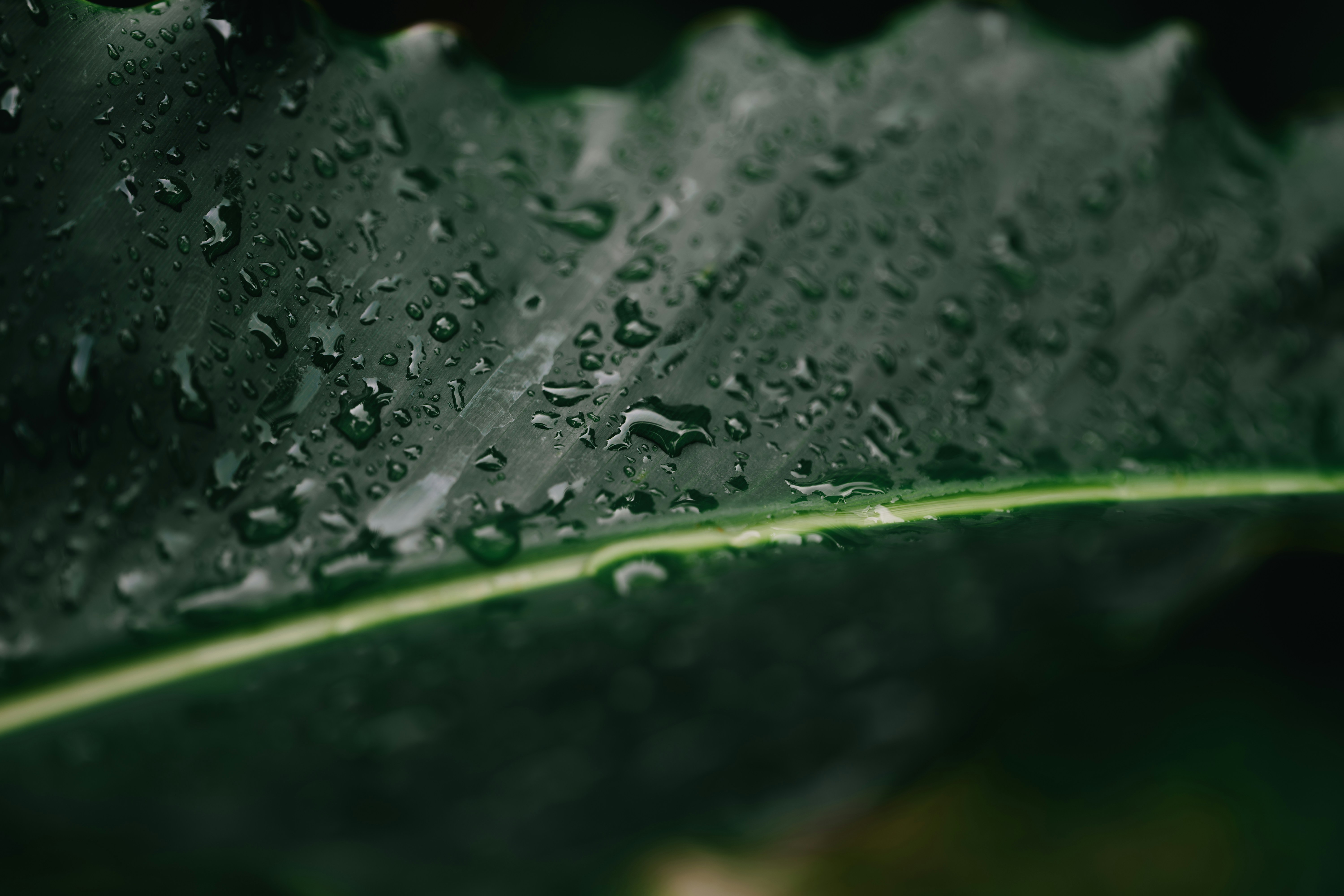 Photo by 17allansfilms