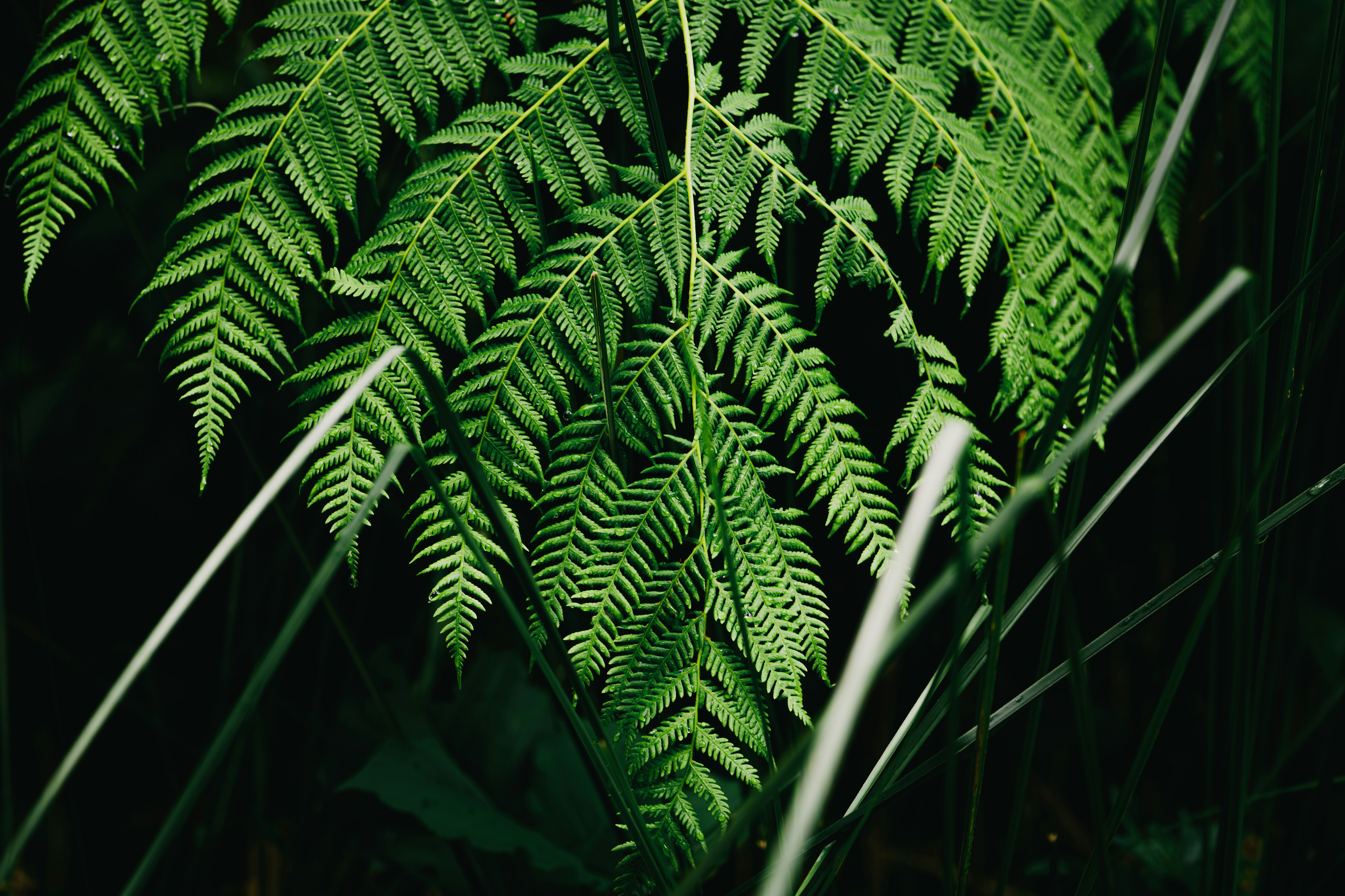 Photo by 17allansfilms