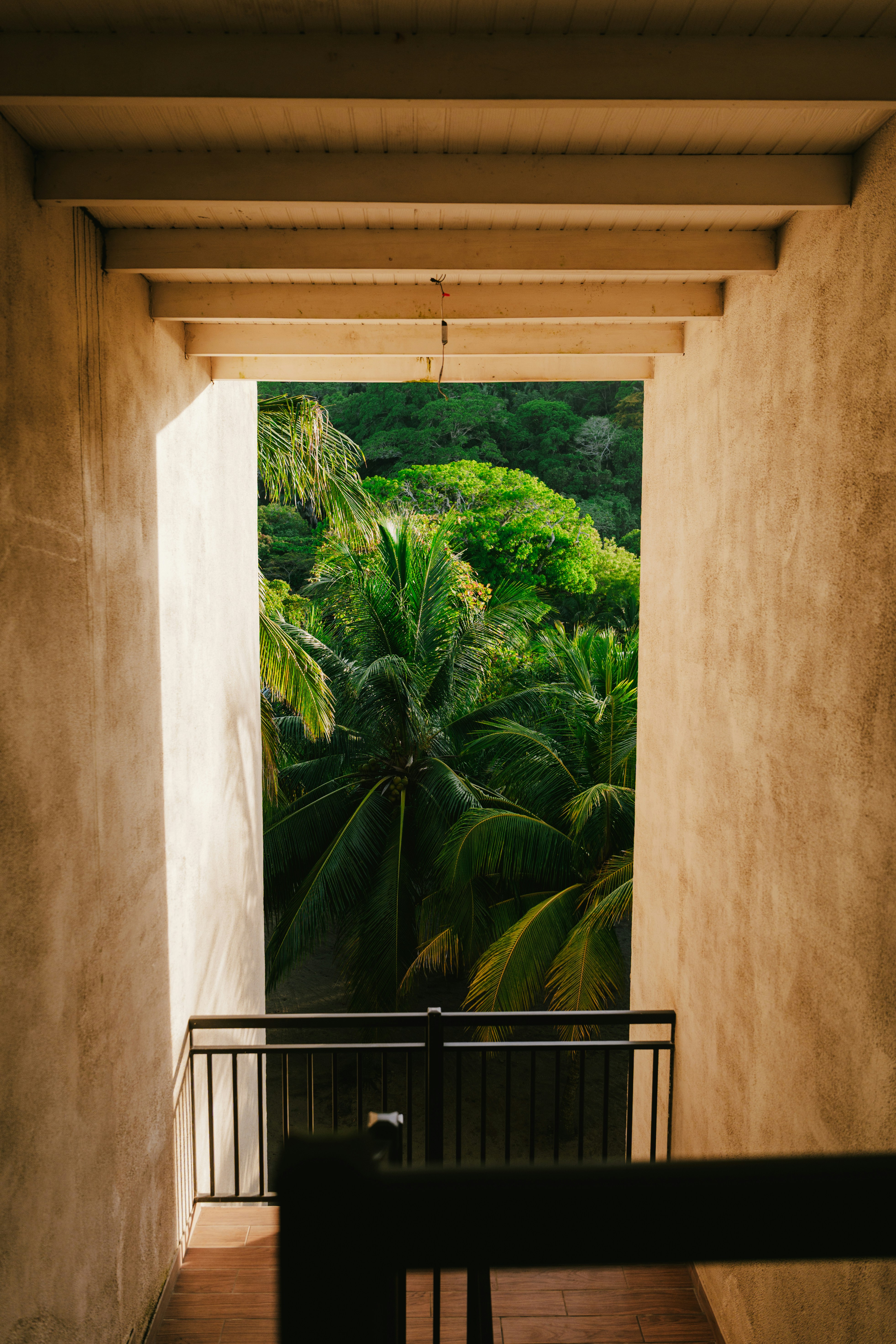 tropical balcony wallpaper, wallpaper, Tropical Balcony Ideas: Pet-Friendly Outdoor Spaces 6