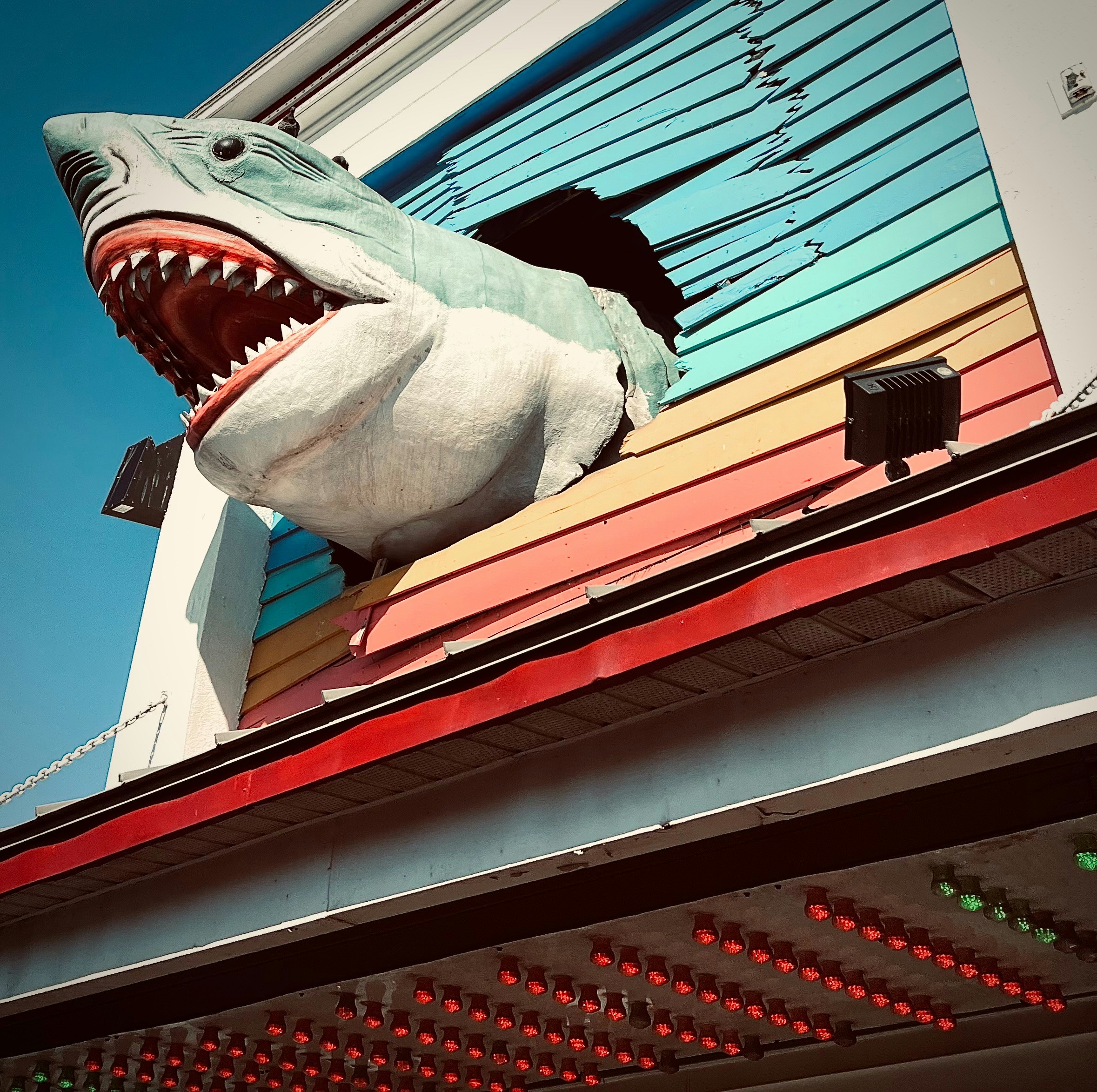 A shark sculpture breaks through a building.