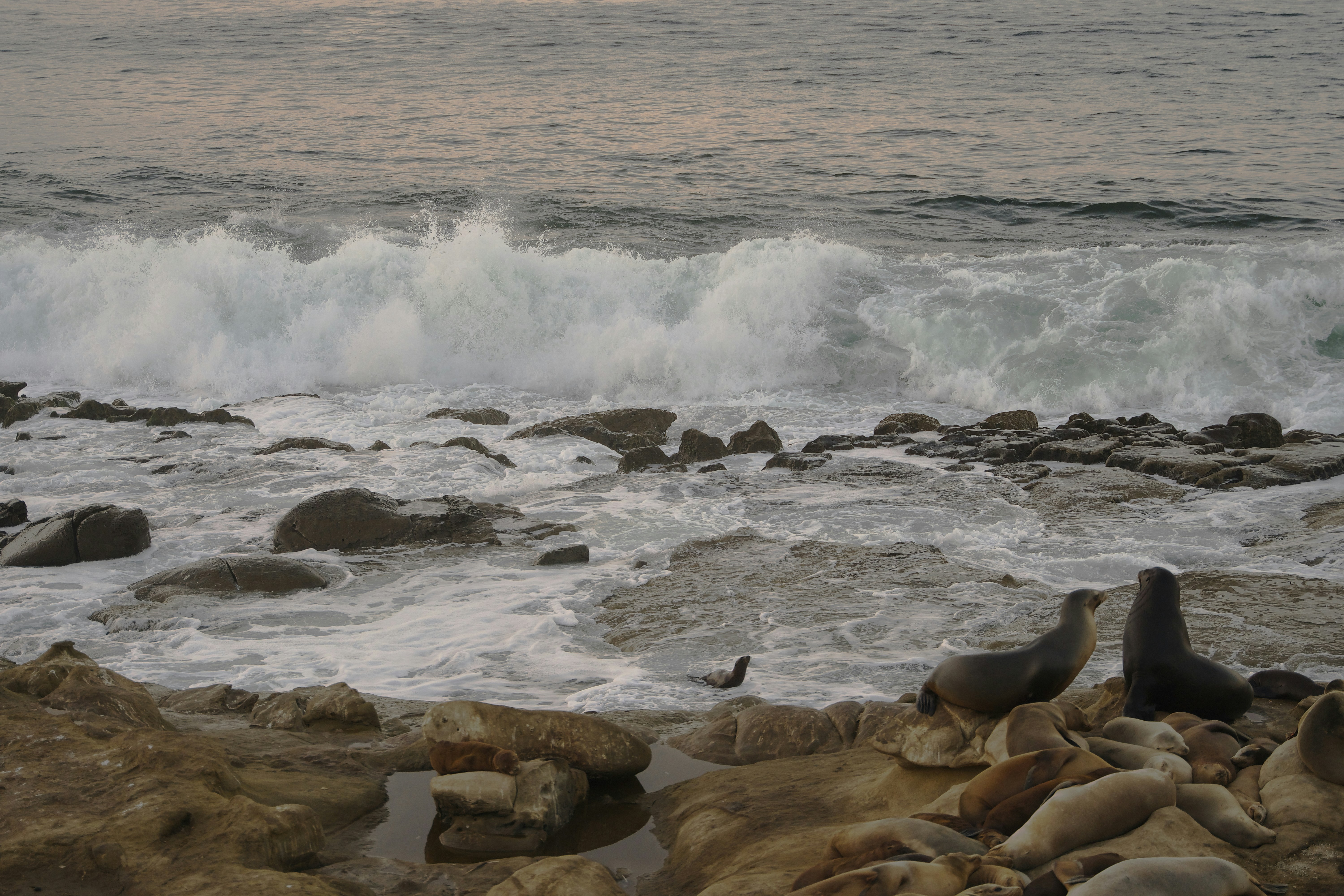 Photo by patrickcampanale