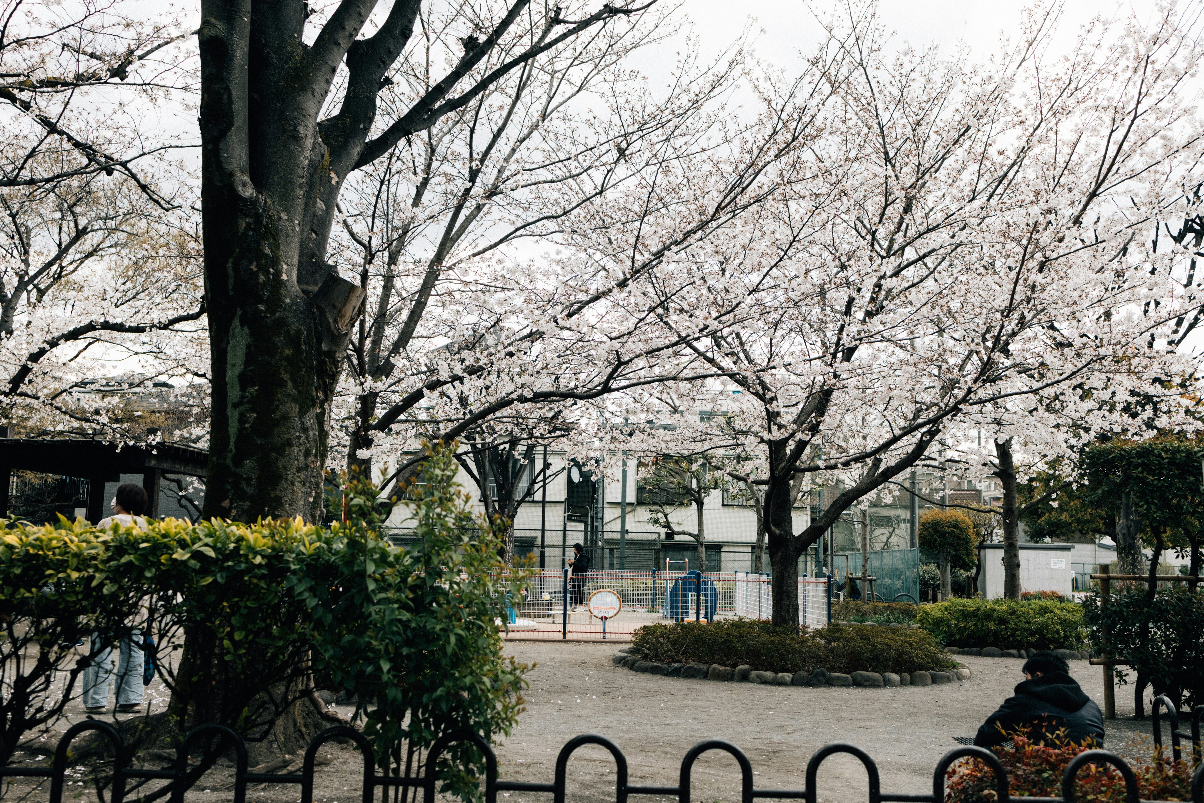 Photo by tsuyoshikozu