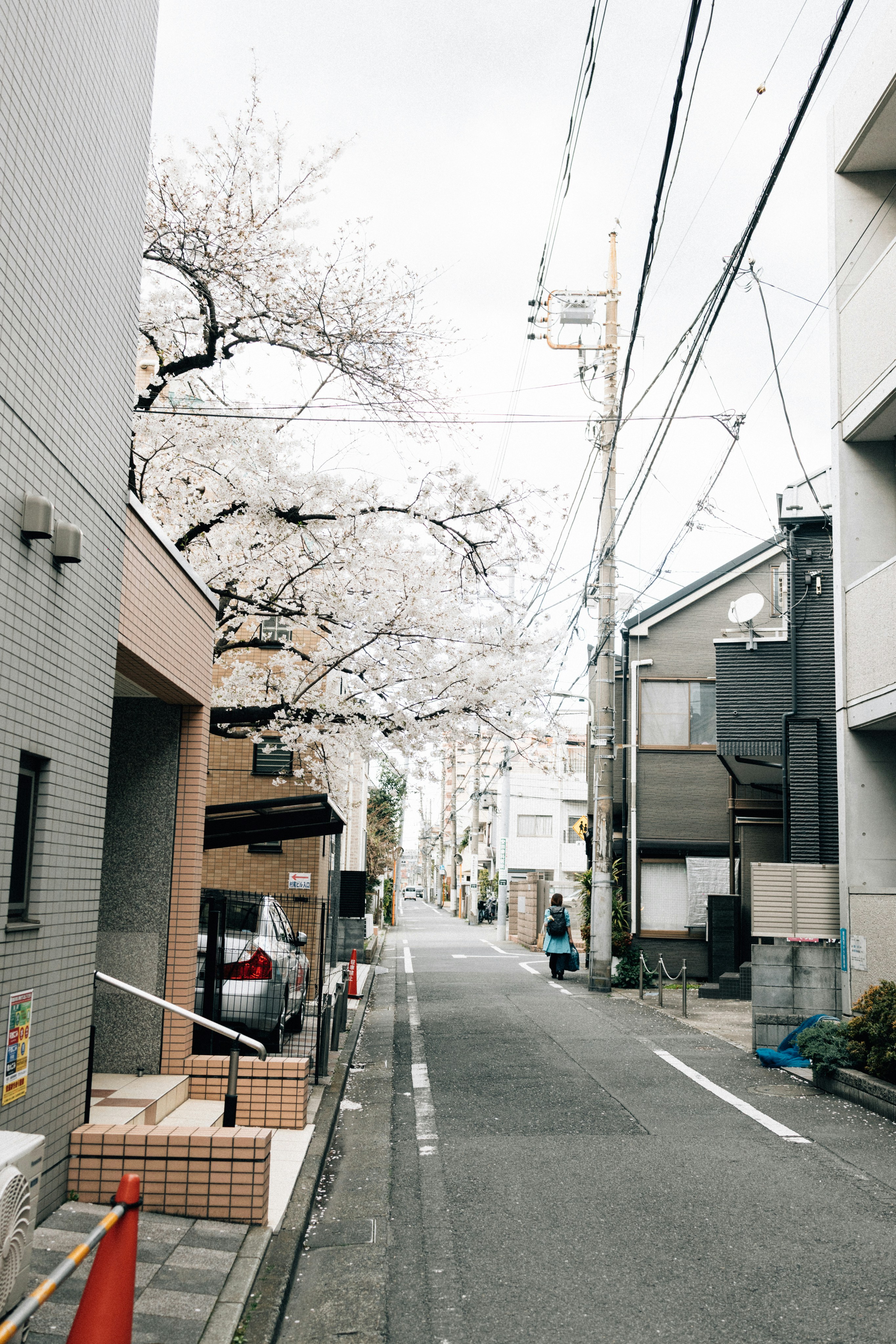 Photo by tsuyoshikozu