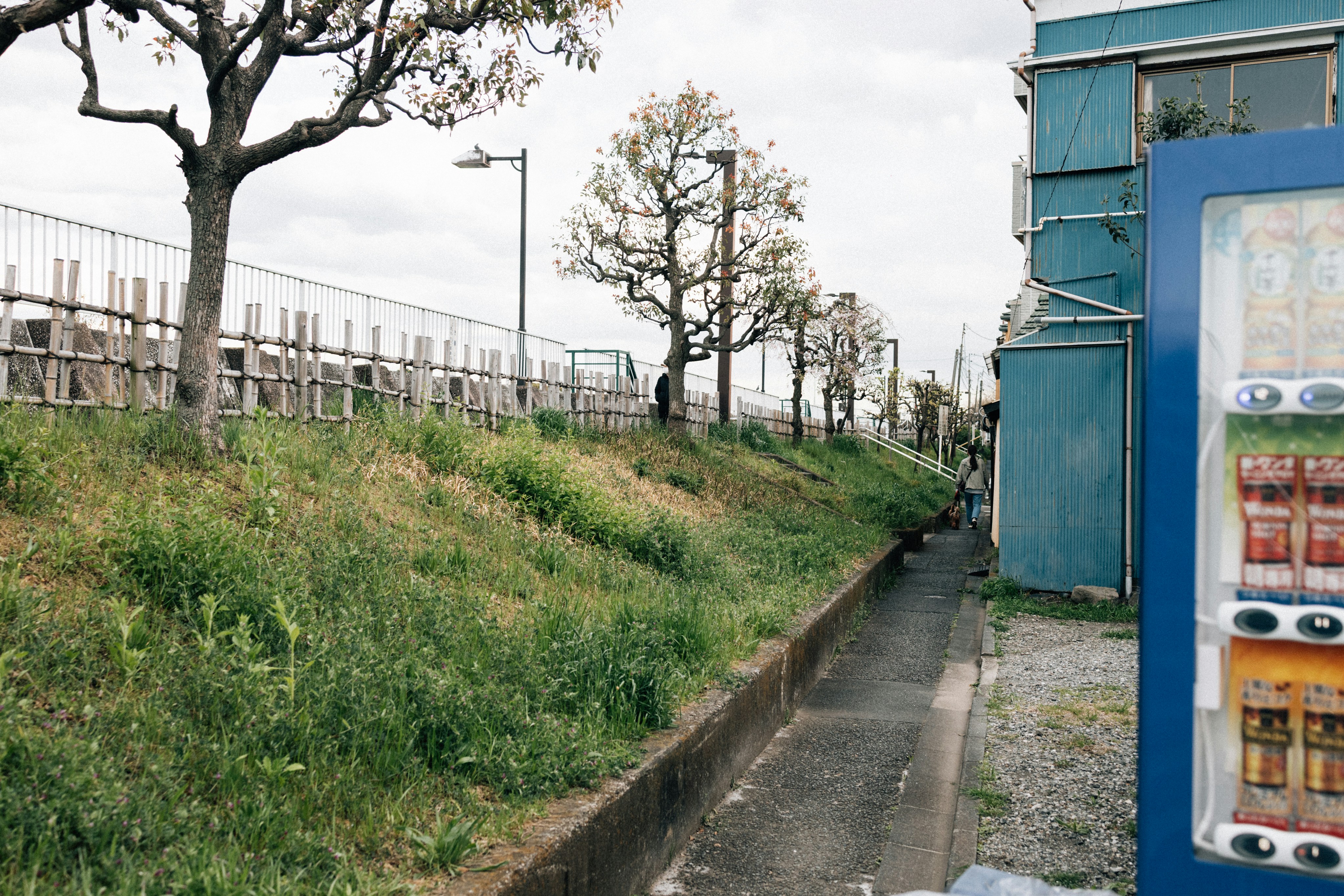 Photo by tsuyoshikozu