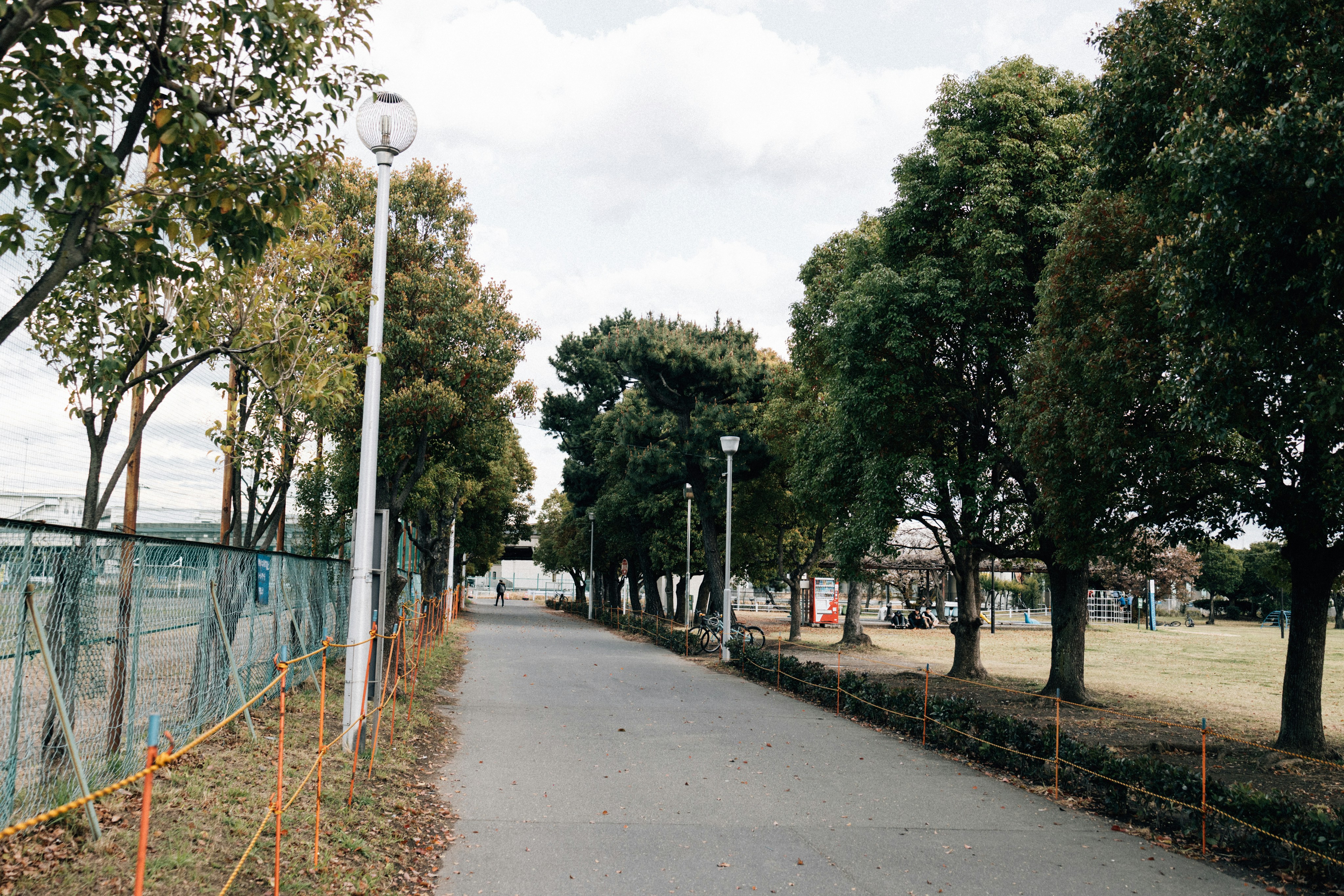 Photo by tsuyoshikozu