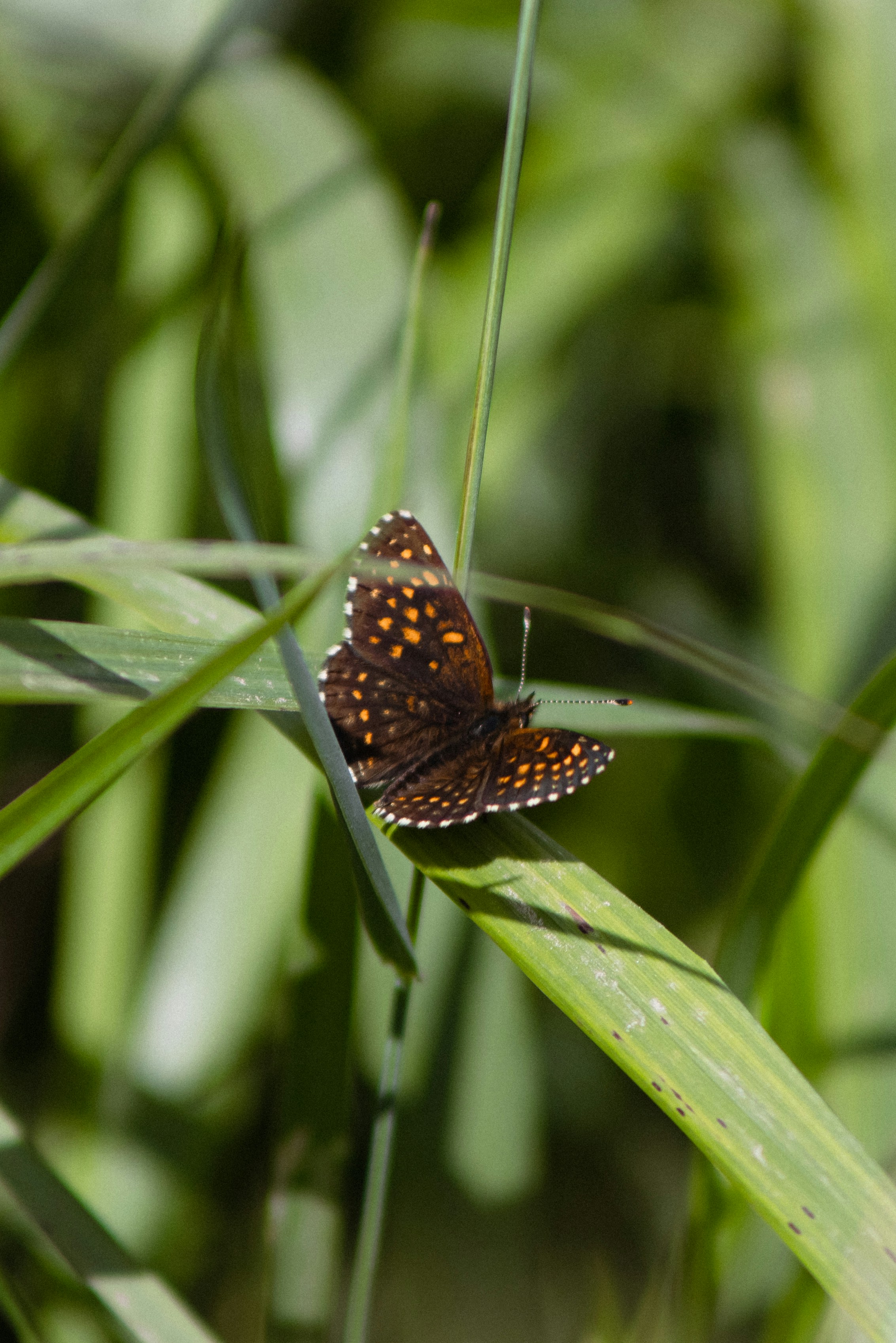 Photo by korobovaphoto