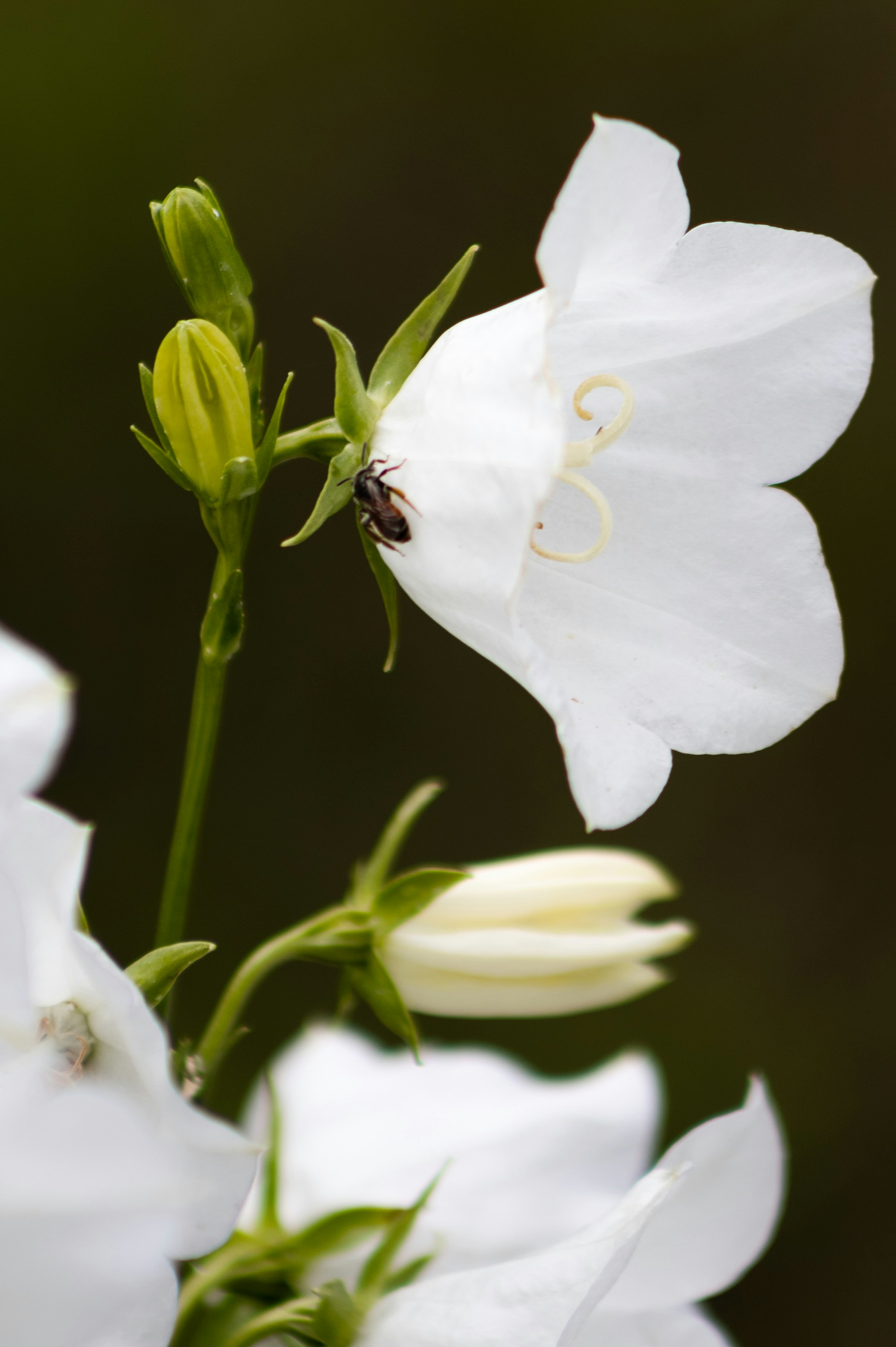 Photo by korobovaphoto