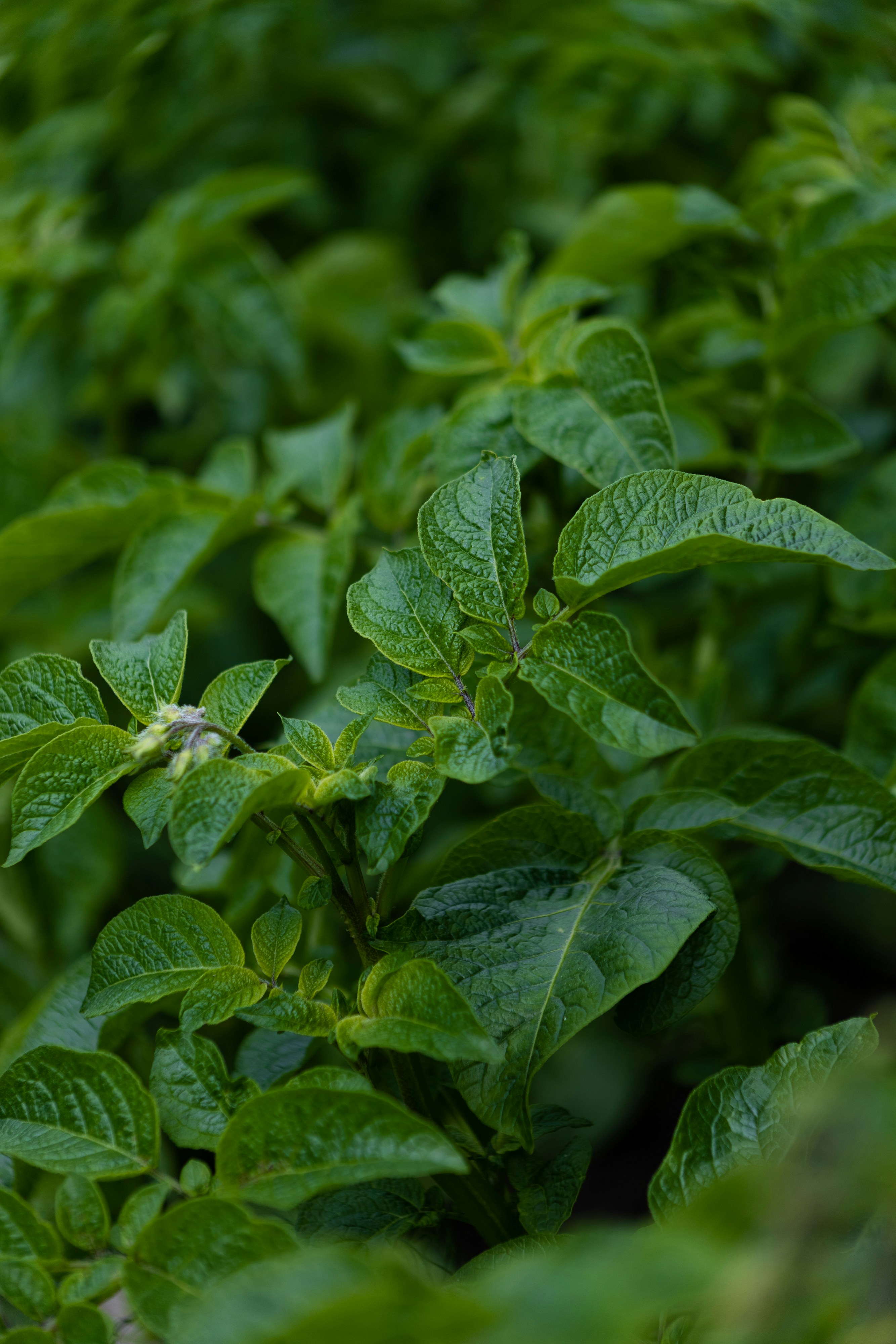 Photo by korobovaphoto