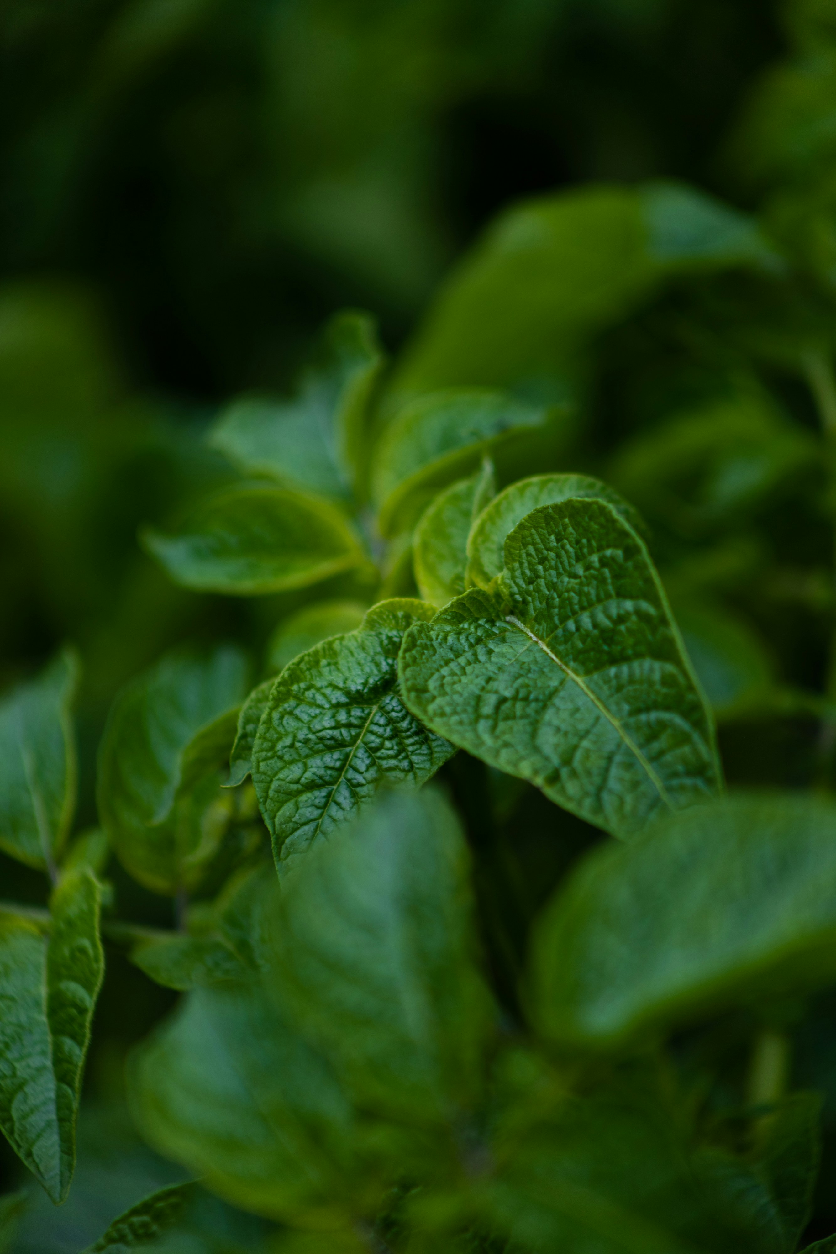 Photo by korobovaphoto