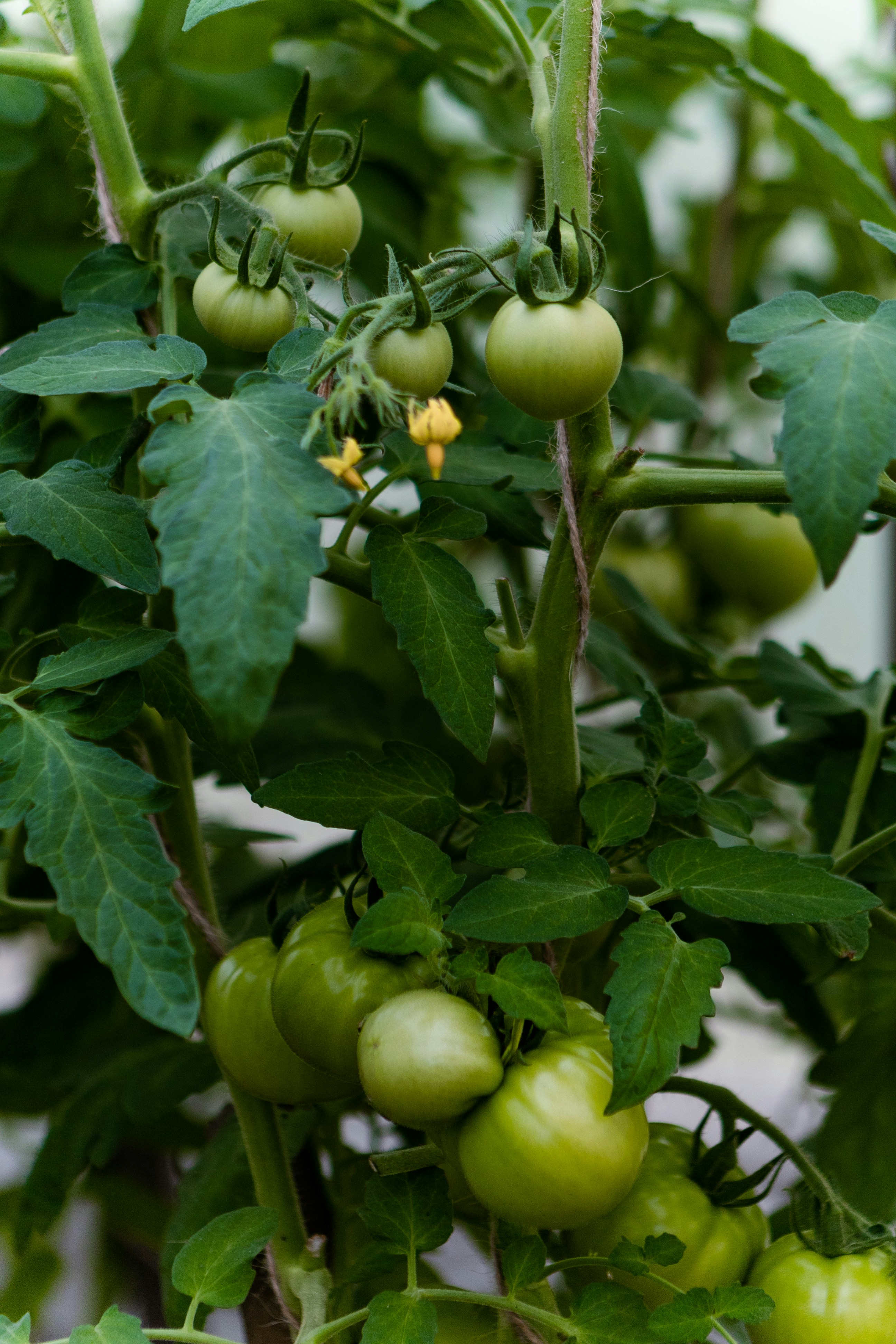 Photo by korobovaphoto