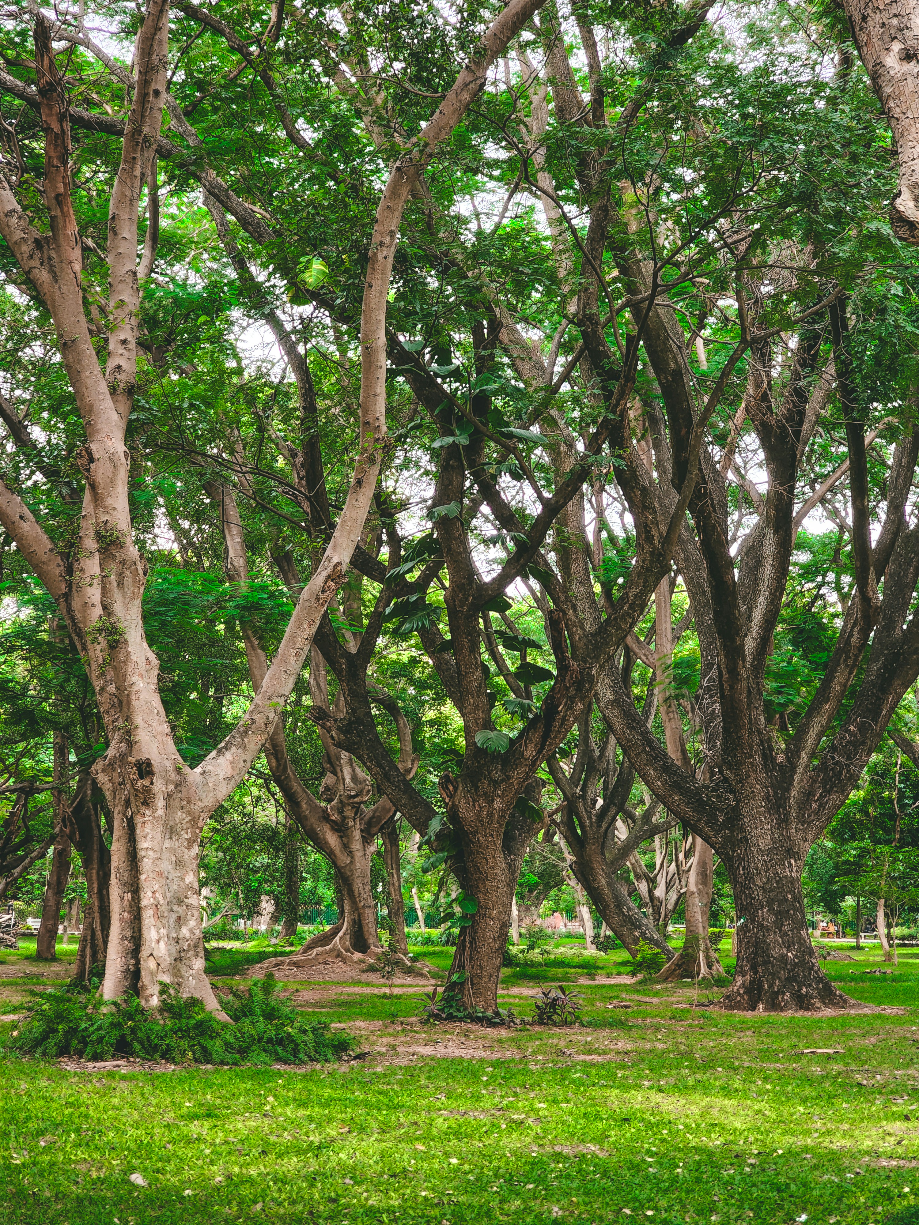 Photo by vishalcross36