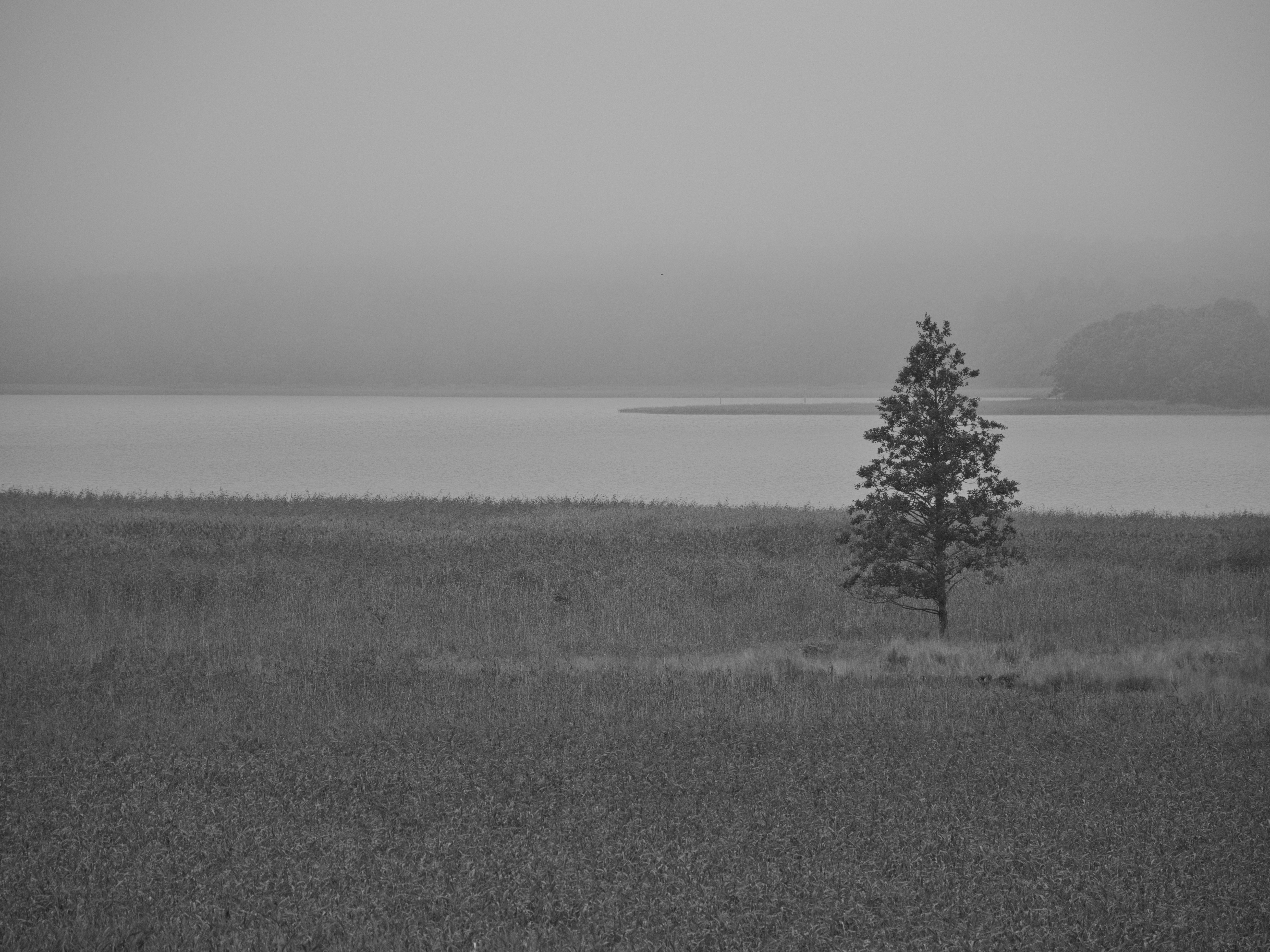 Photo by schneiderhenry