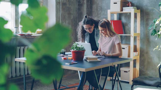 Two women collaborate at a desk in a modern office.
