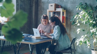 Two women collaborate at a desk with a laptop.