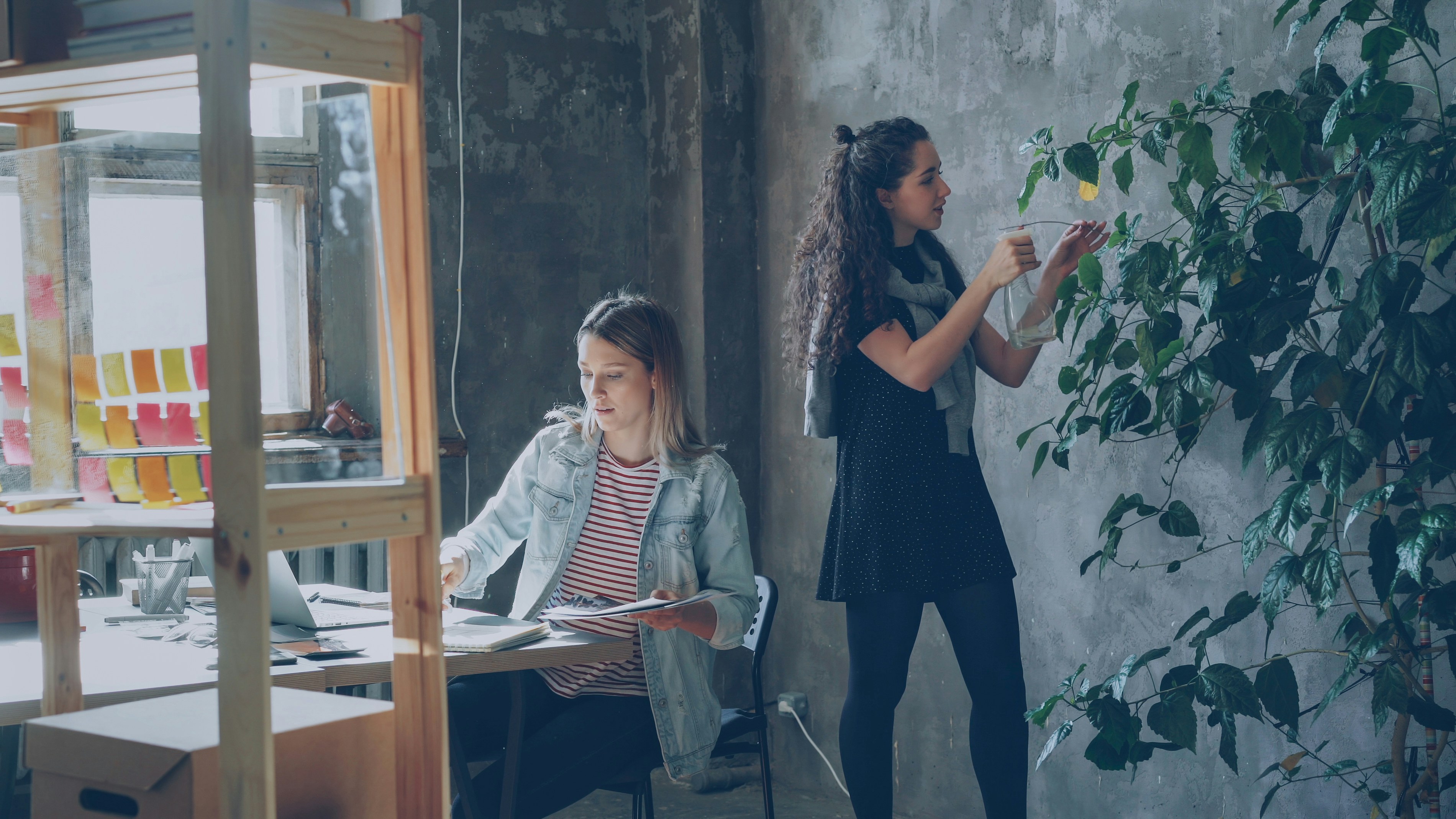 Female friends working together